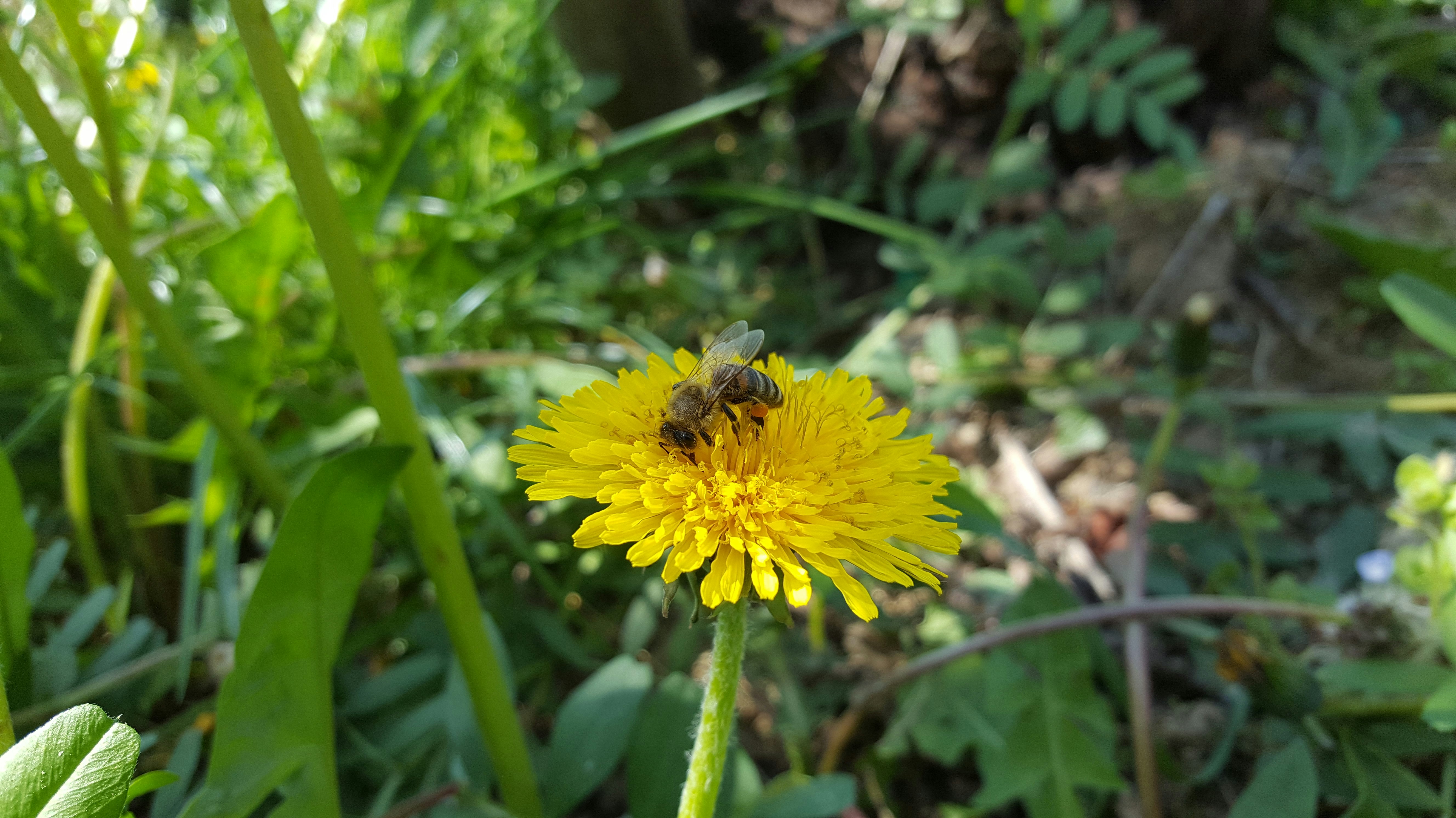 Free Unsplash photo from Martin Oslic