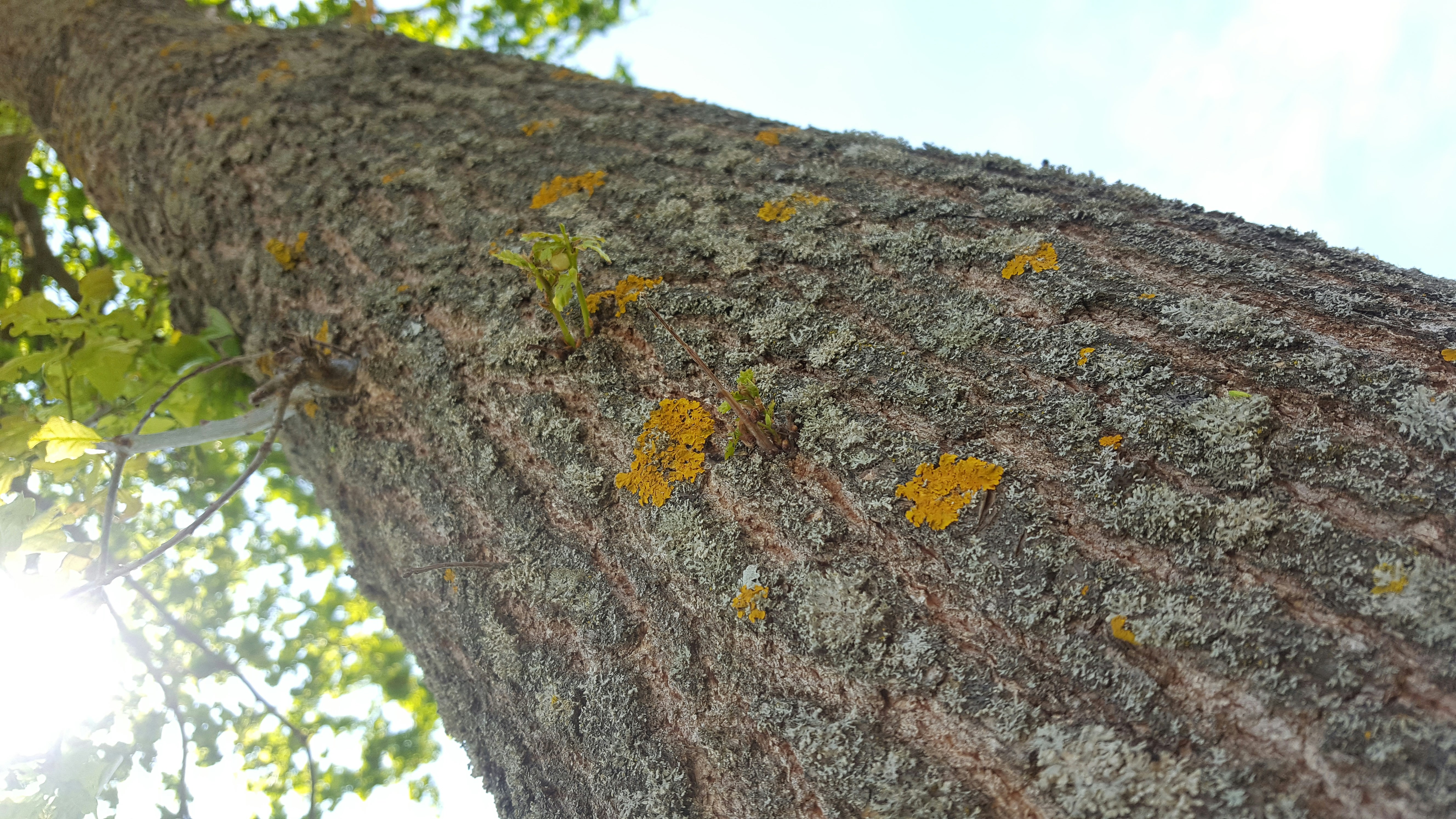 Free Unsplash photo from Martin Oslic