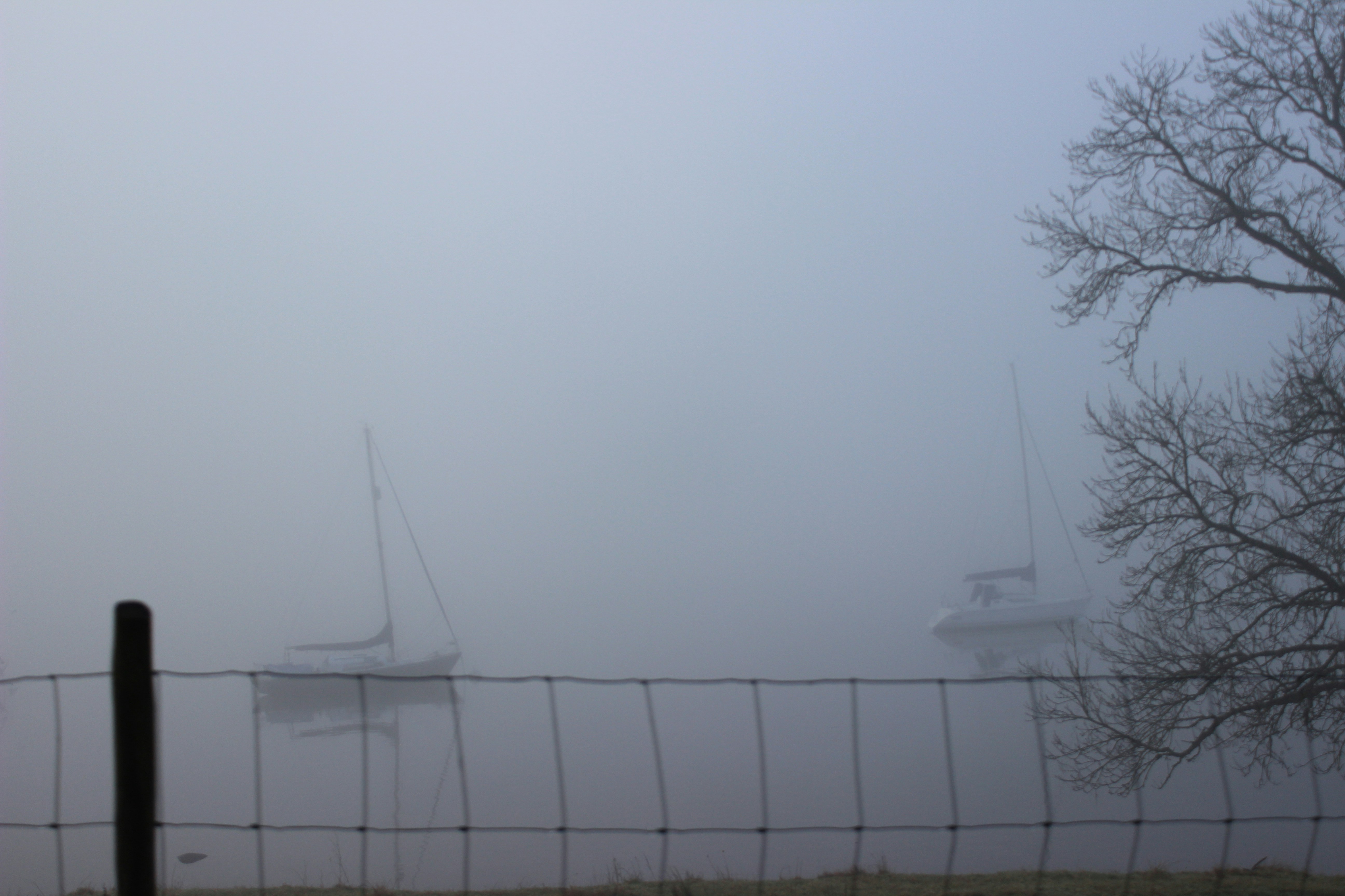 Free Unsplash photo from Dana Alsca