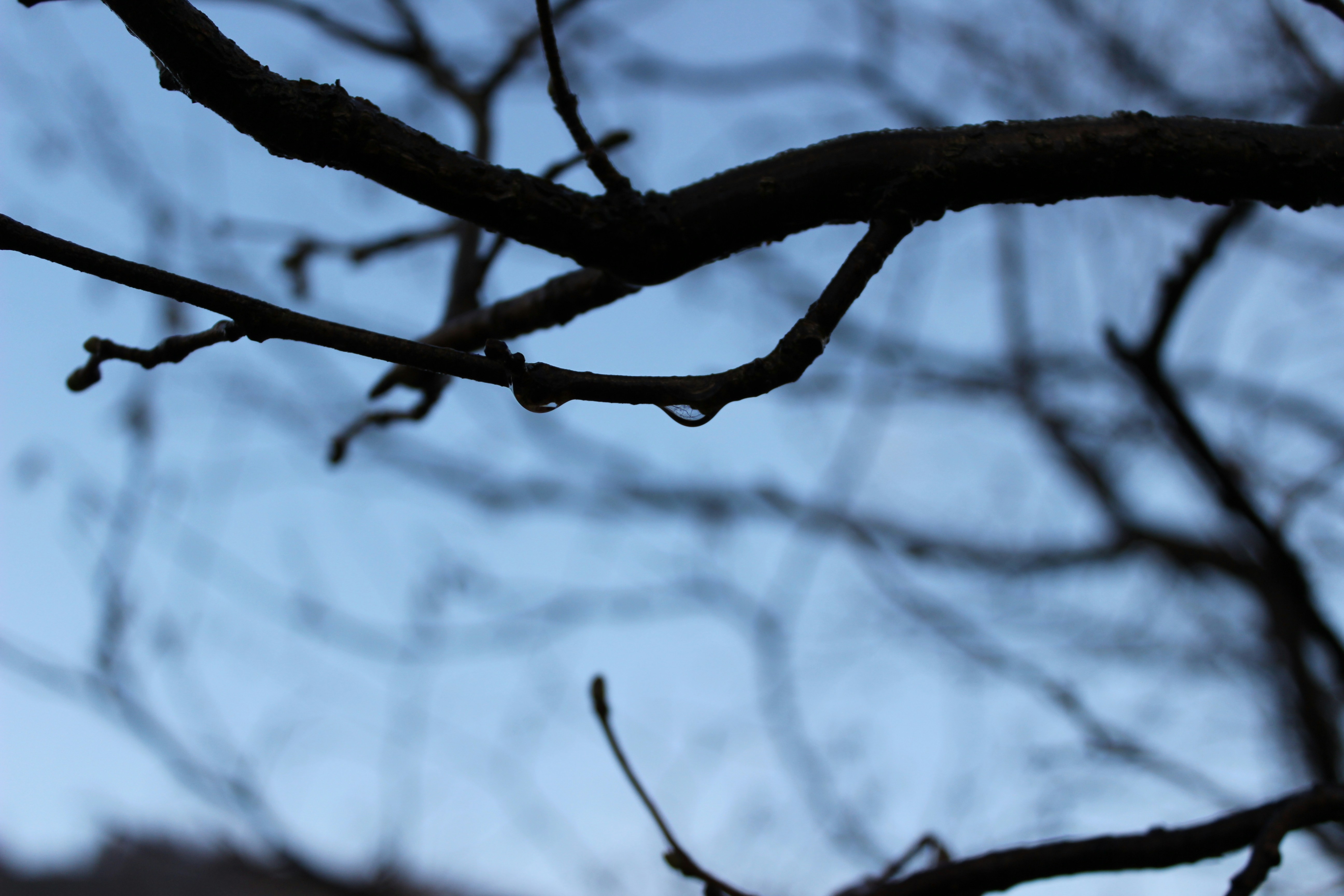 Free Unsplash photo from Dana Alsca