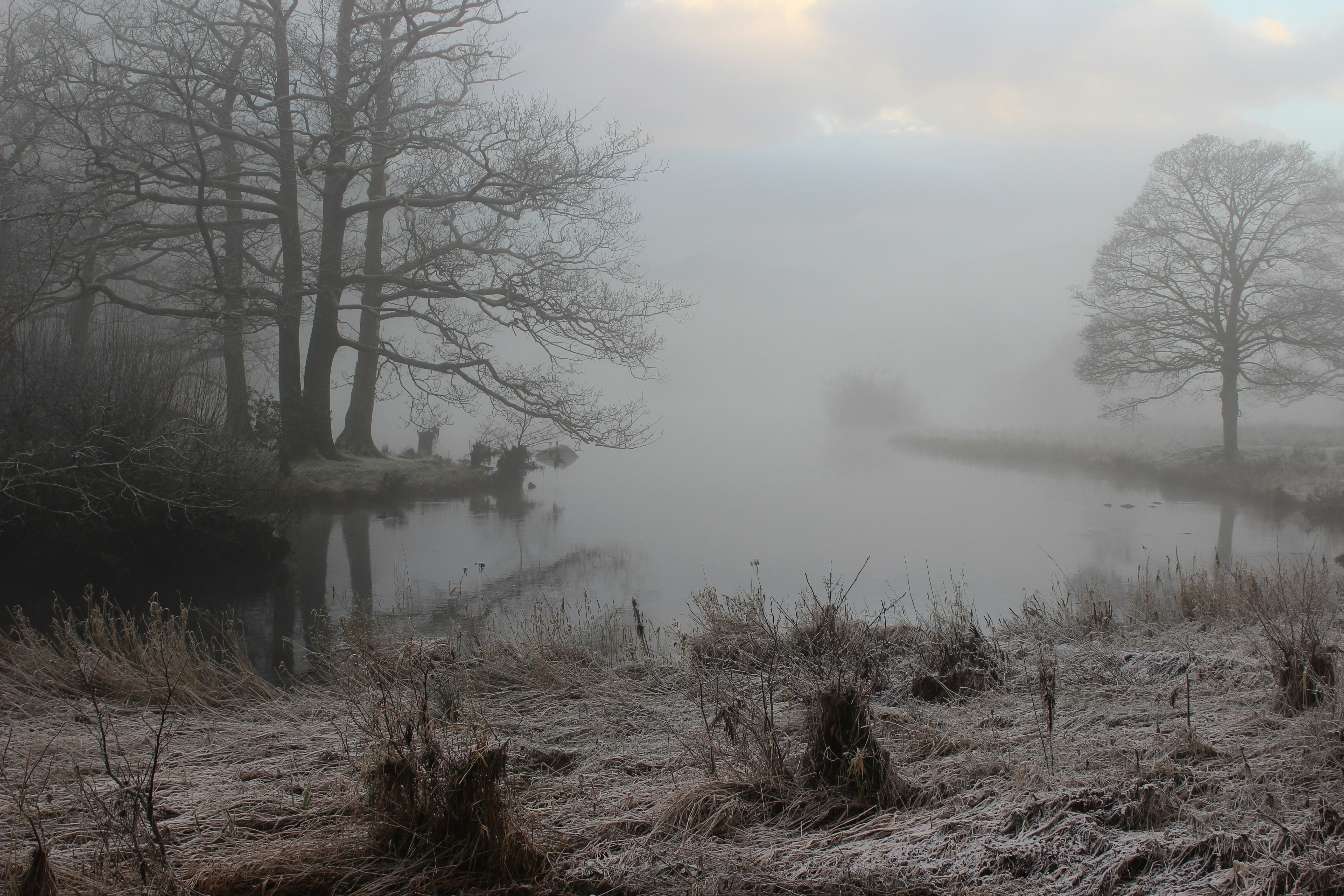 Free Unsplash photo from Dana Alsca