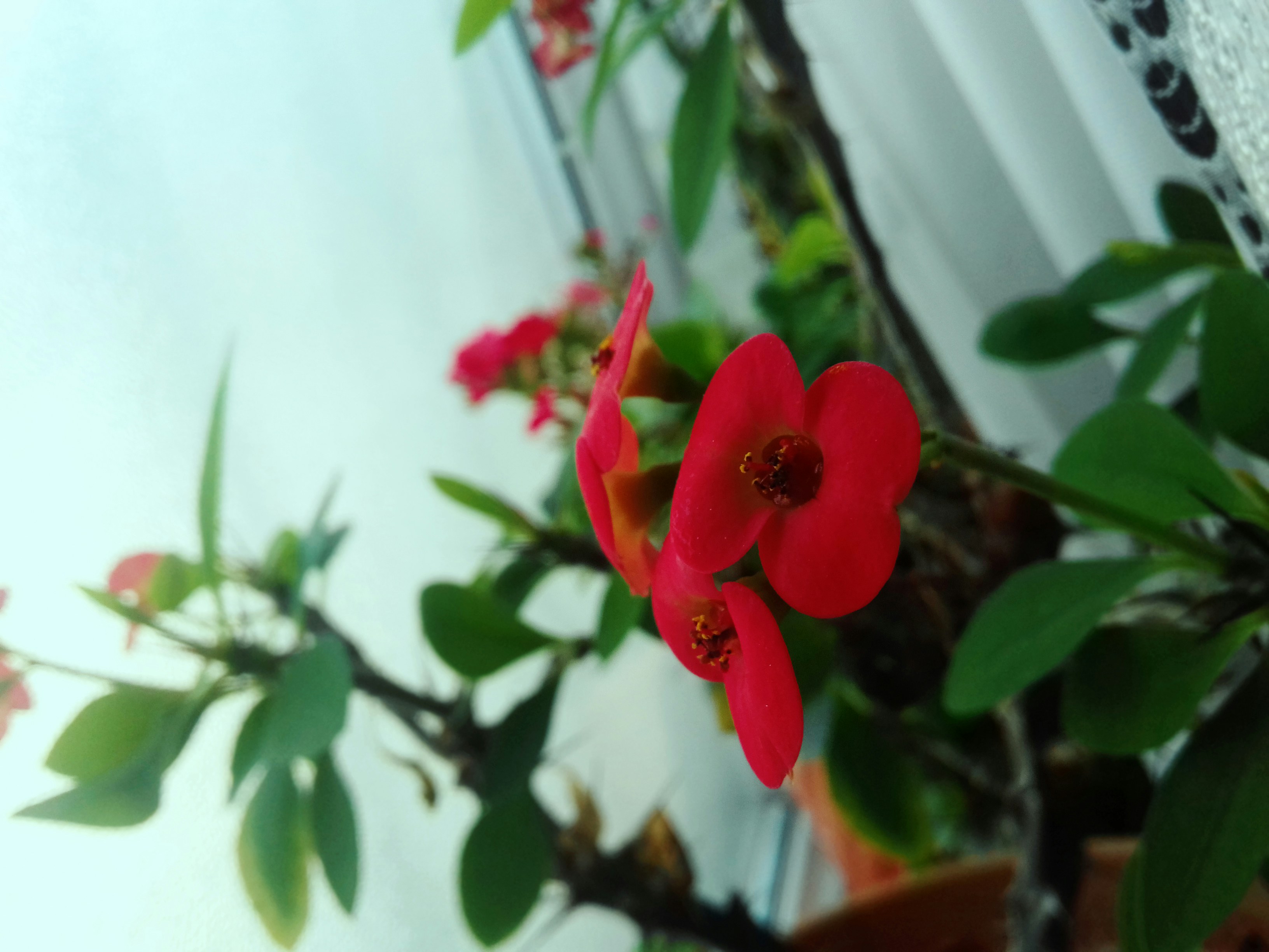 Free Unsplash photo from Fuad Soltanlı