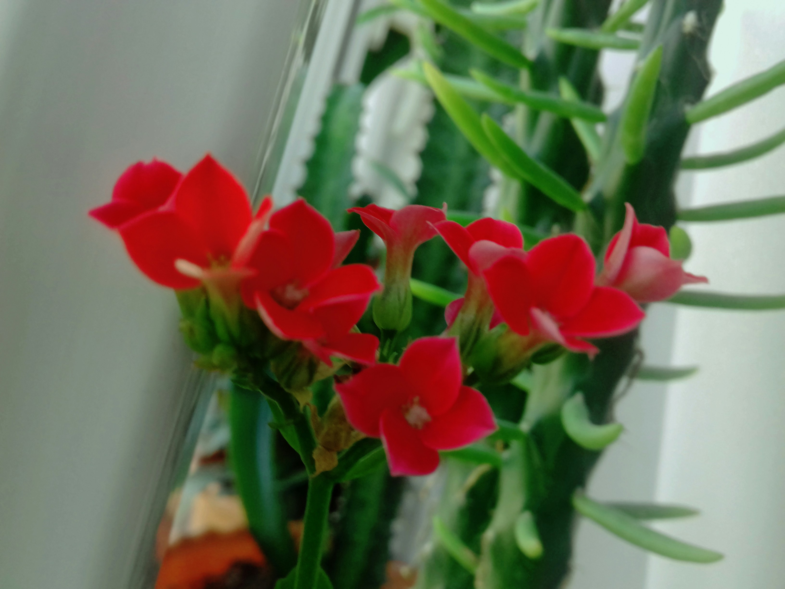 Free Unsplash photo from Fuad Soltanlı