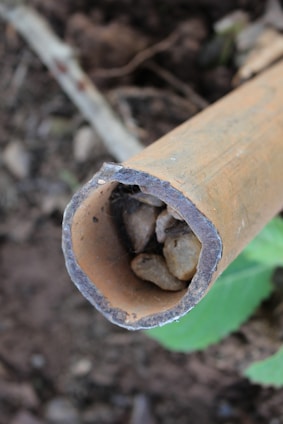 Close-up of bamboo salt crystals nestled inside a bamboo tube, highlighting their natural texture and purity.