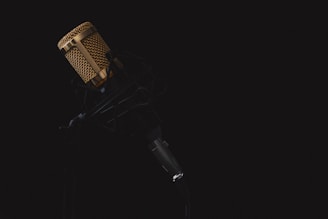 black and gray condenser microphone