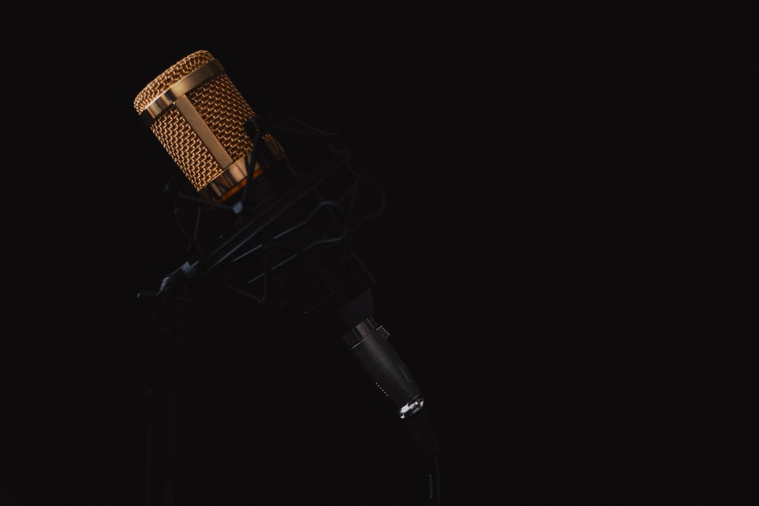 black and gray condenser microphone, Darkness of speech