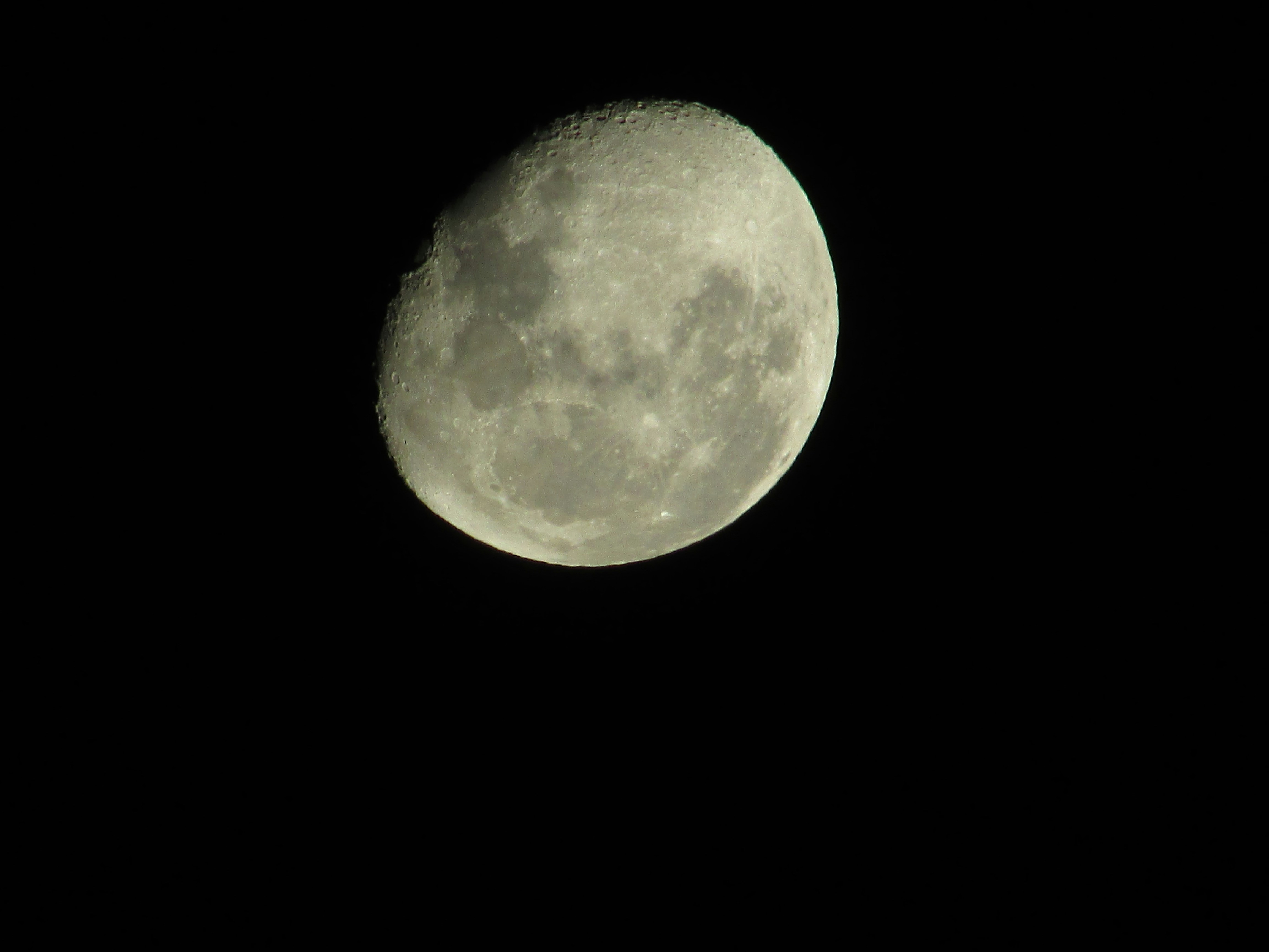 Free Unsplash photo from Ramiro Martinez