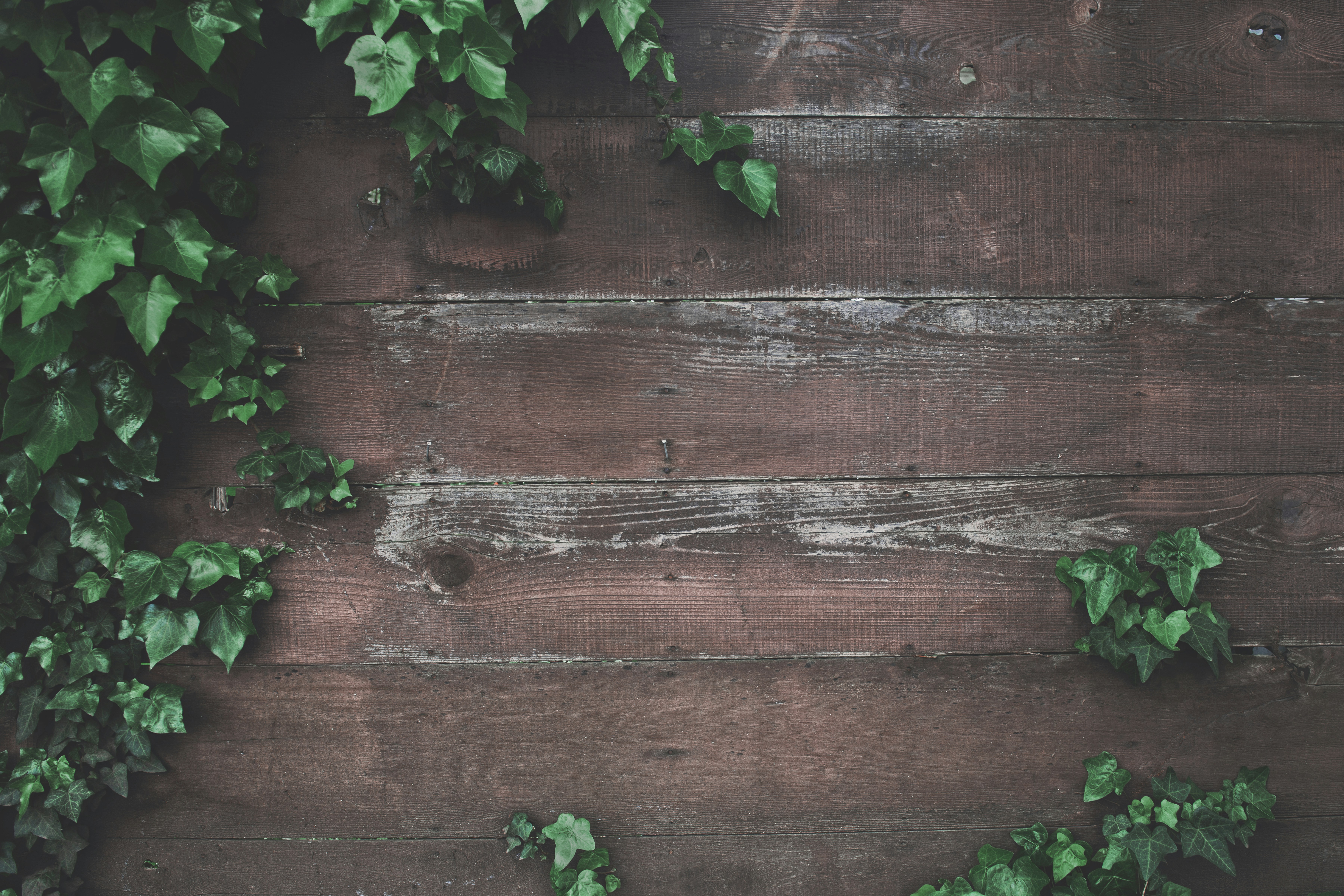 Risk-Reducing Tips for Small Business Owners