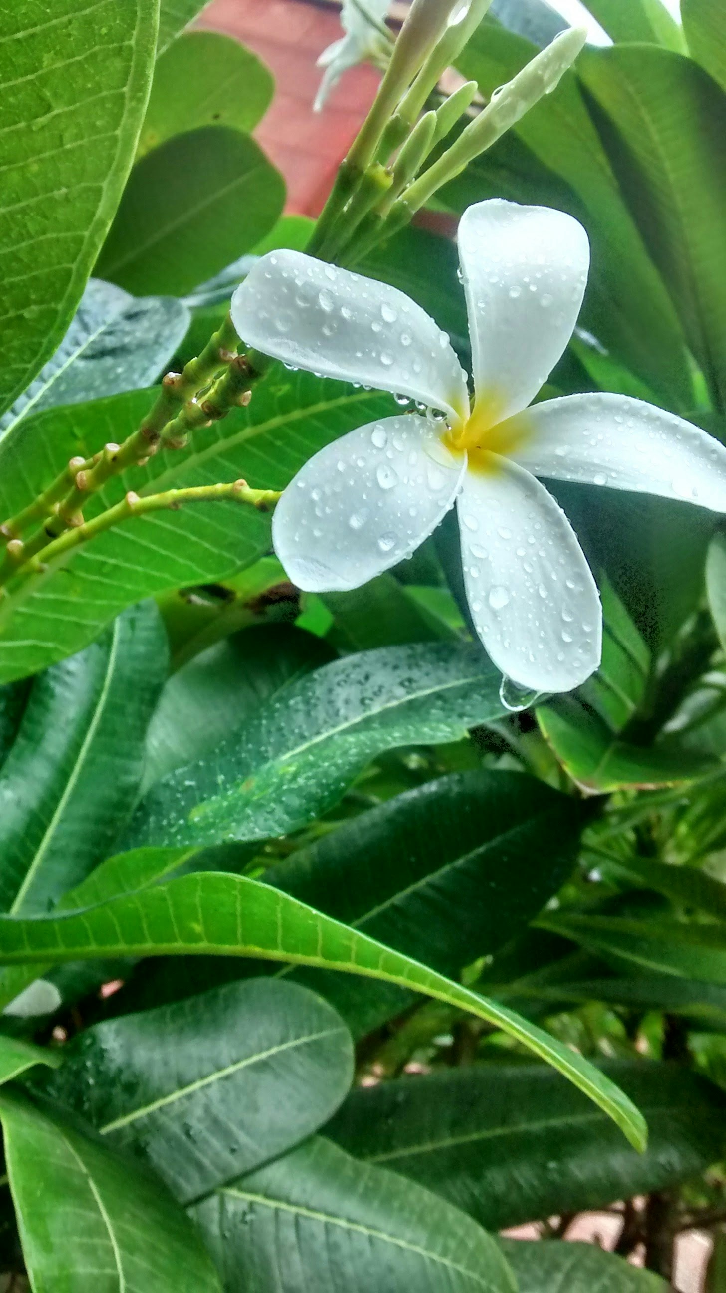 Free Unsplash photo from Raj Parmar