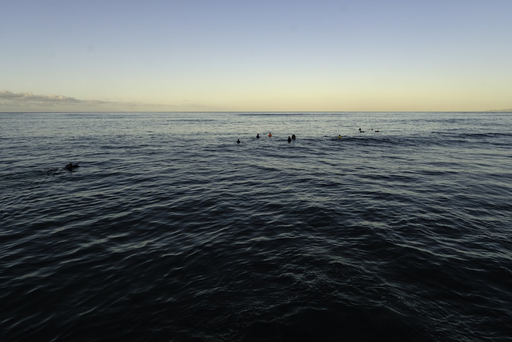 people on sea during daytime