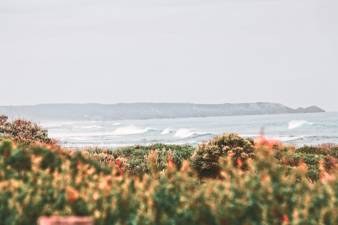 Shore photo spot Koonya Beach Phillip Island