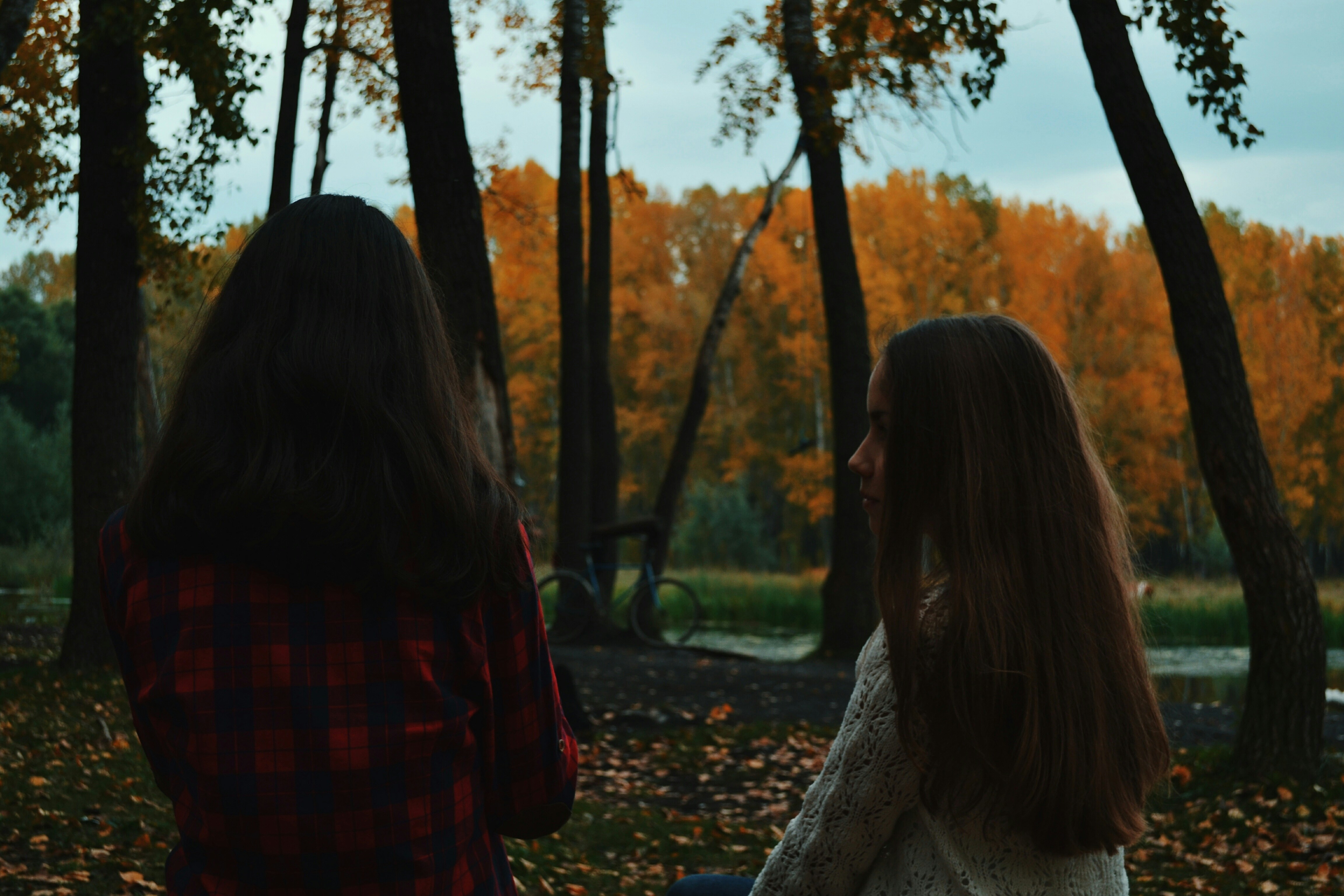 Free Unsplash photo from Danir Yangirov