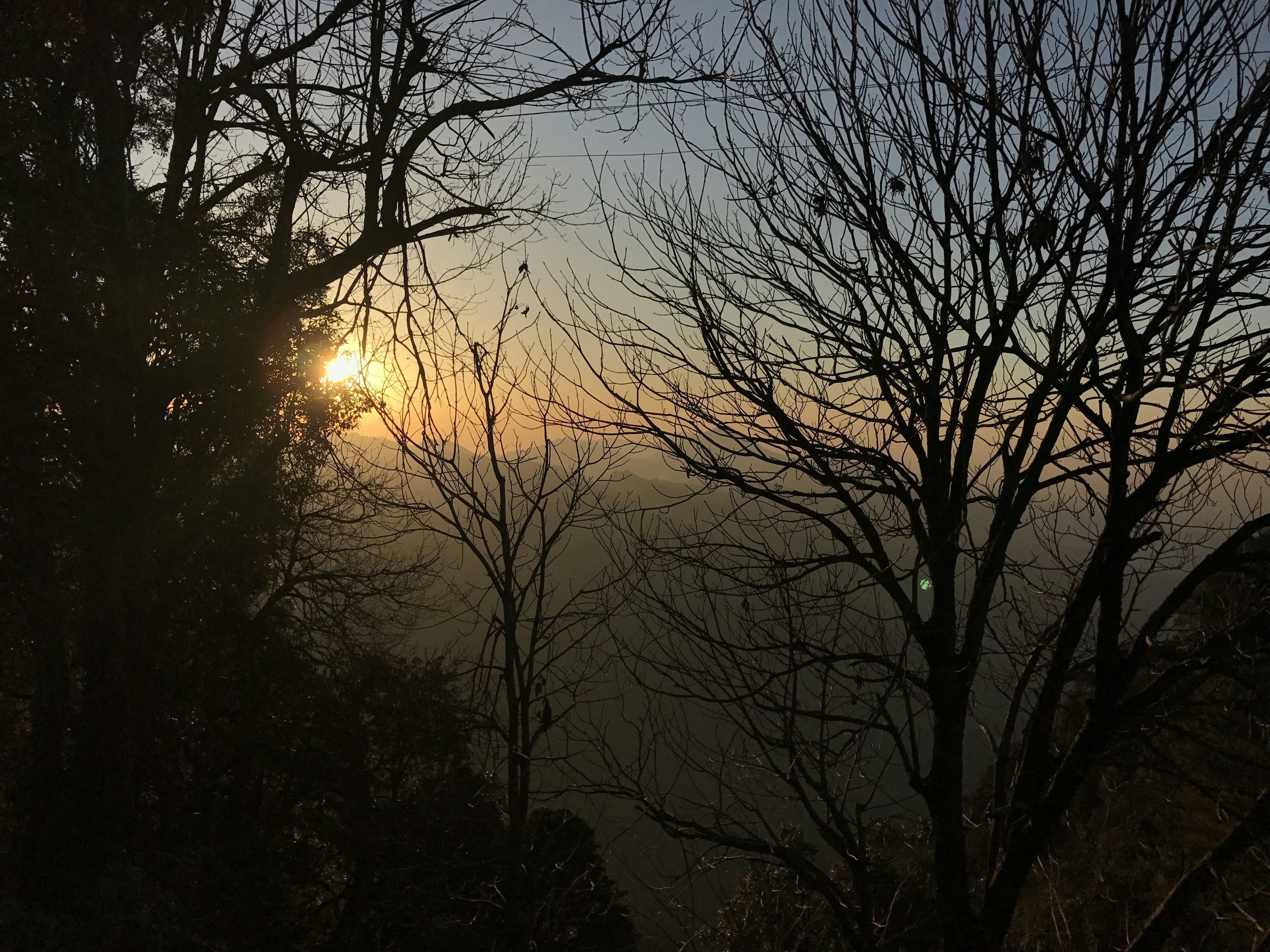 Free Unsplash photo from Rahul Anand