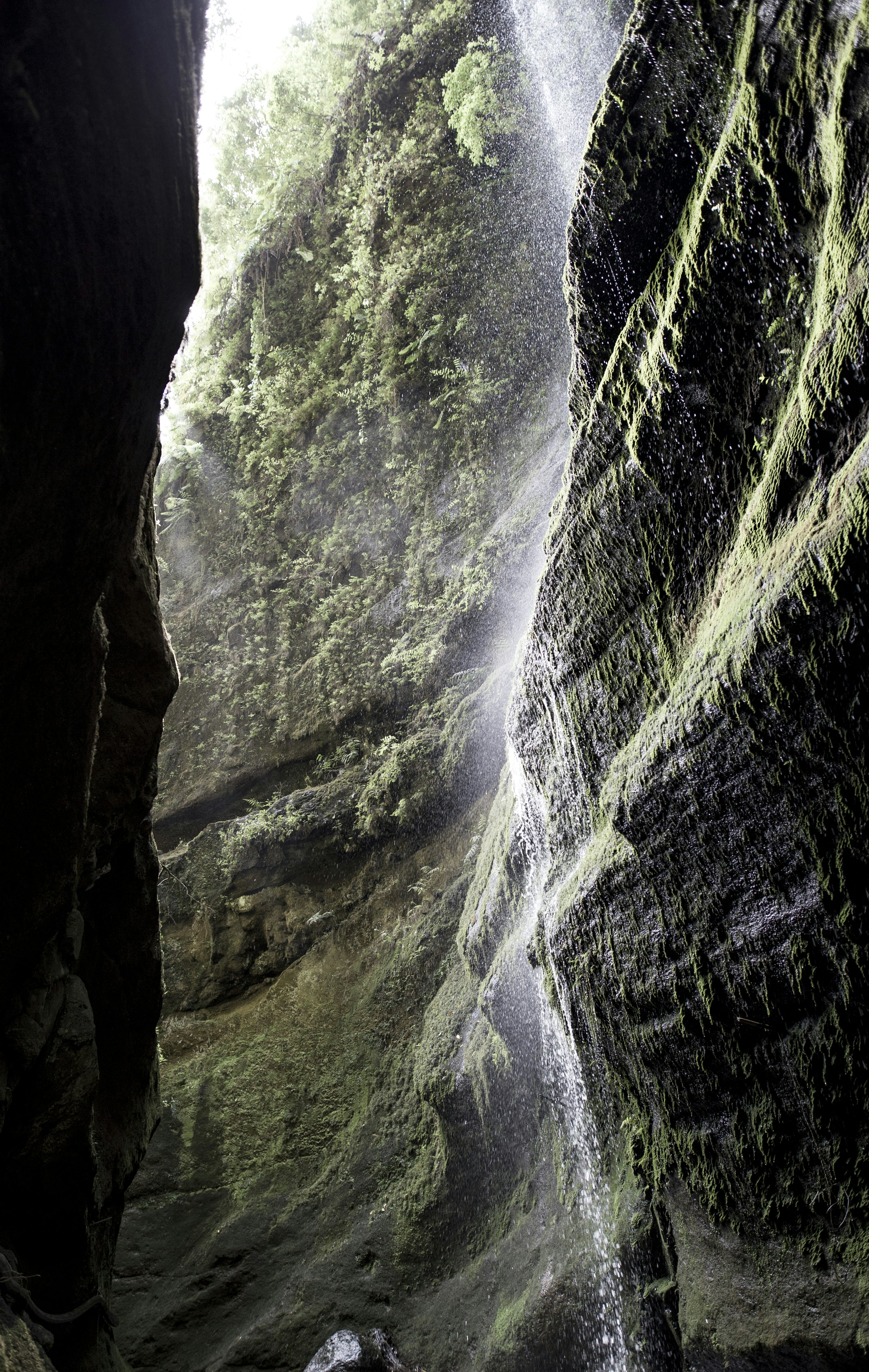 Free Unsplash photo from thomas henke