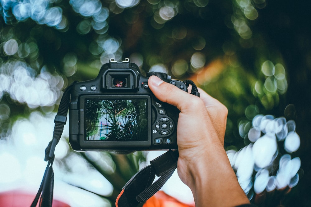 pessoa segurando câmera DSLR preta