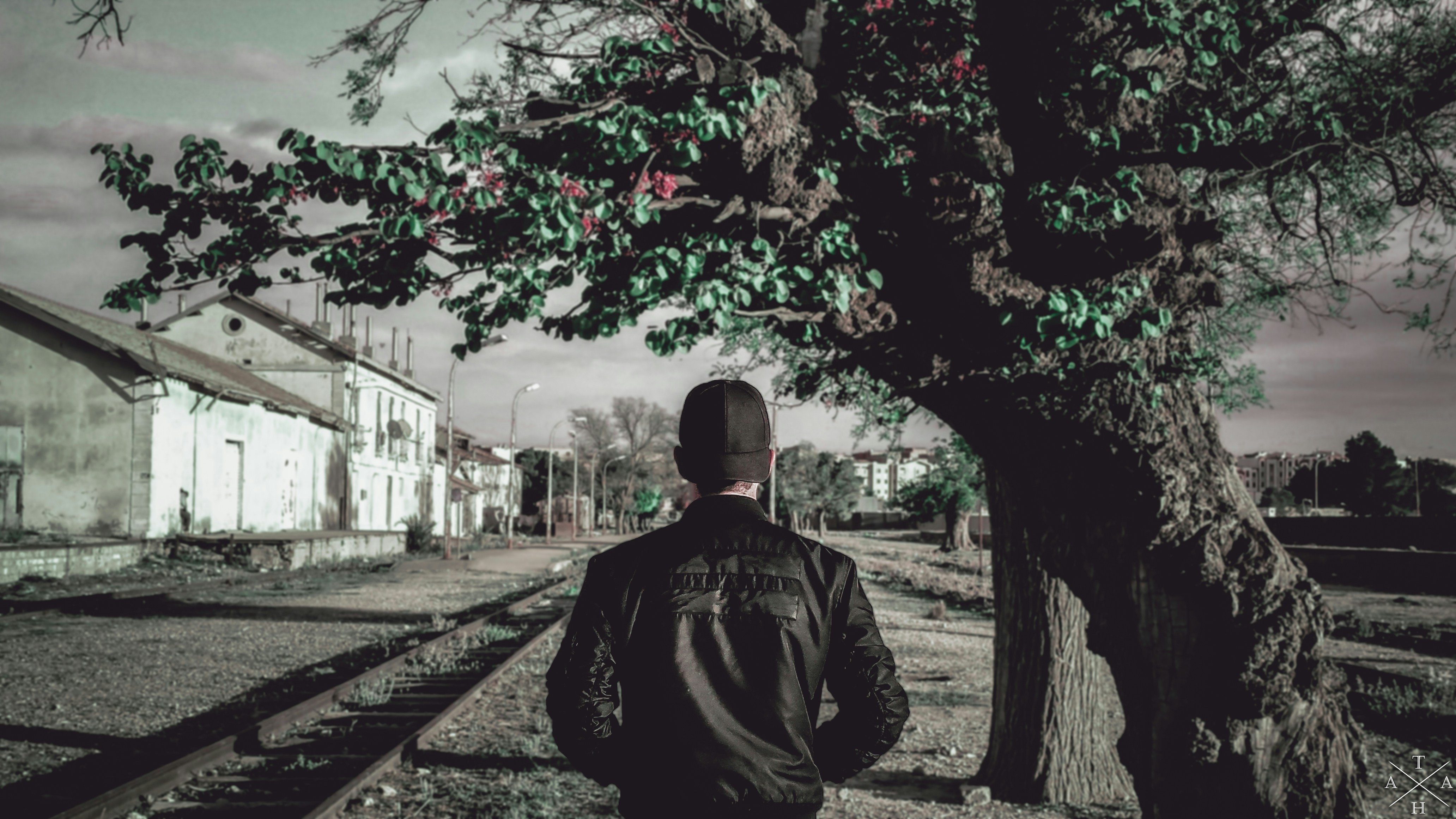 Free Unsplash photo from Taha Mouissa