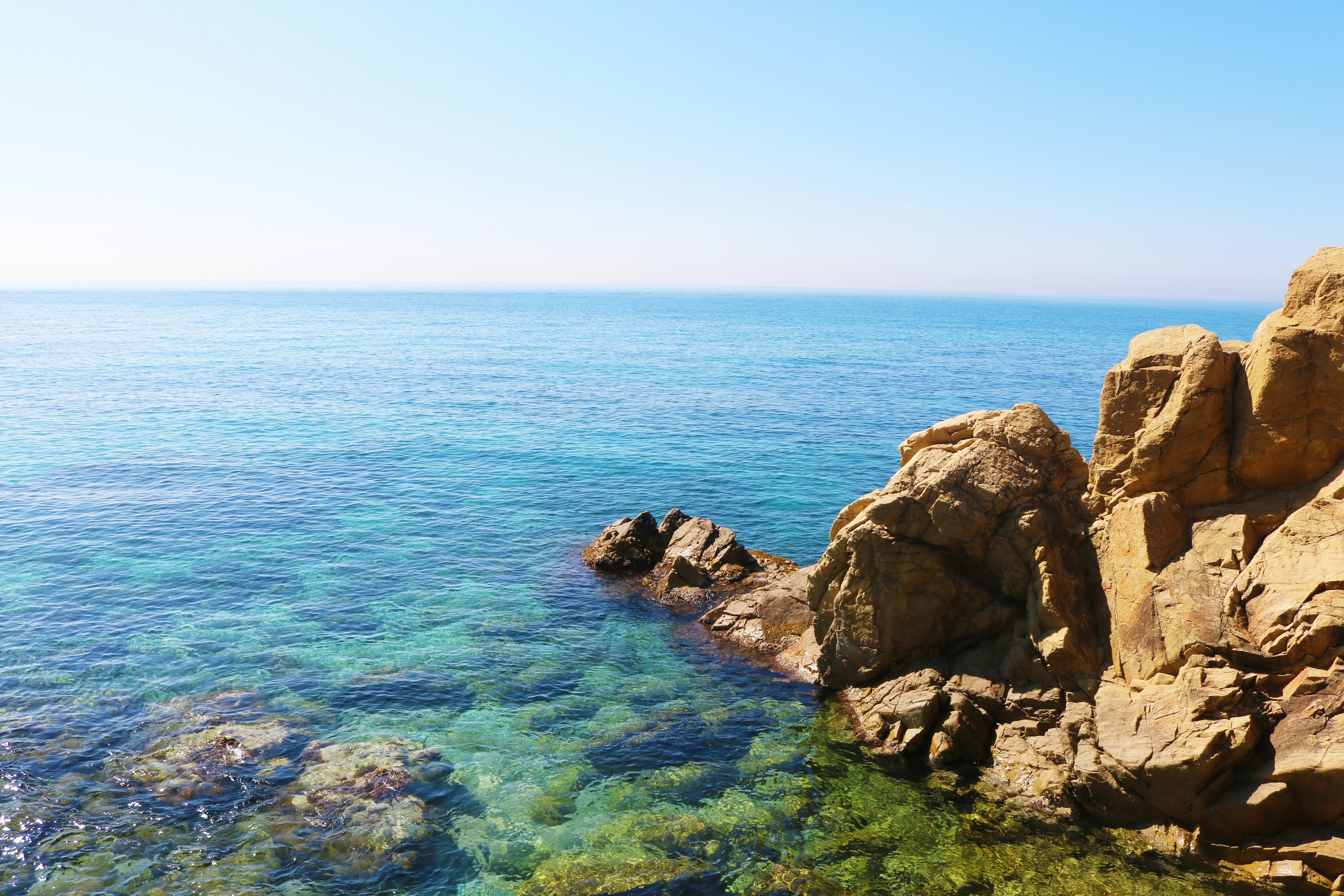 Free Unsplash photo from Creative Nerds