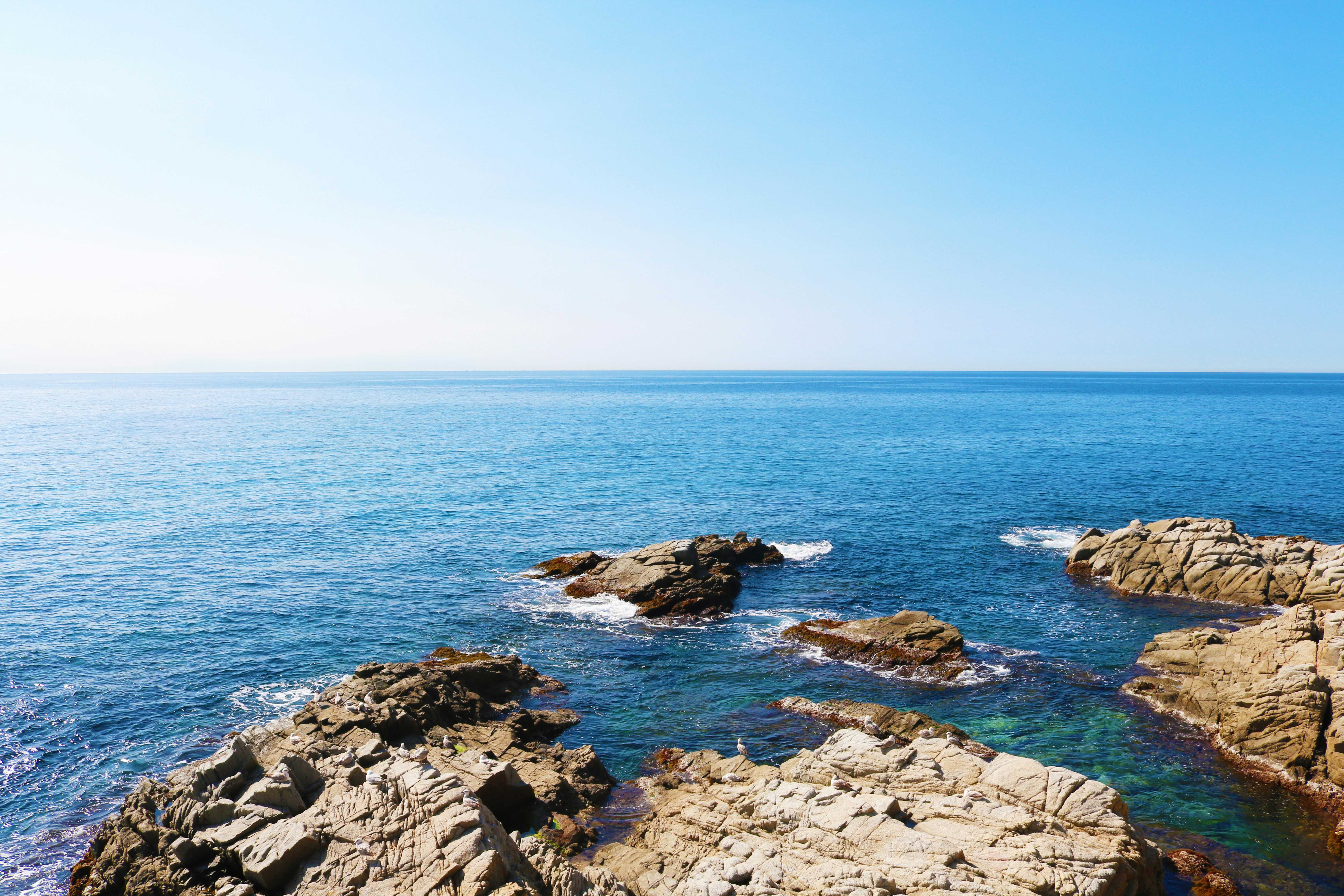 Free Unsplash photo from Creative Nerds