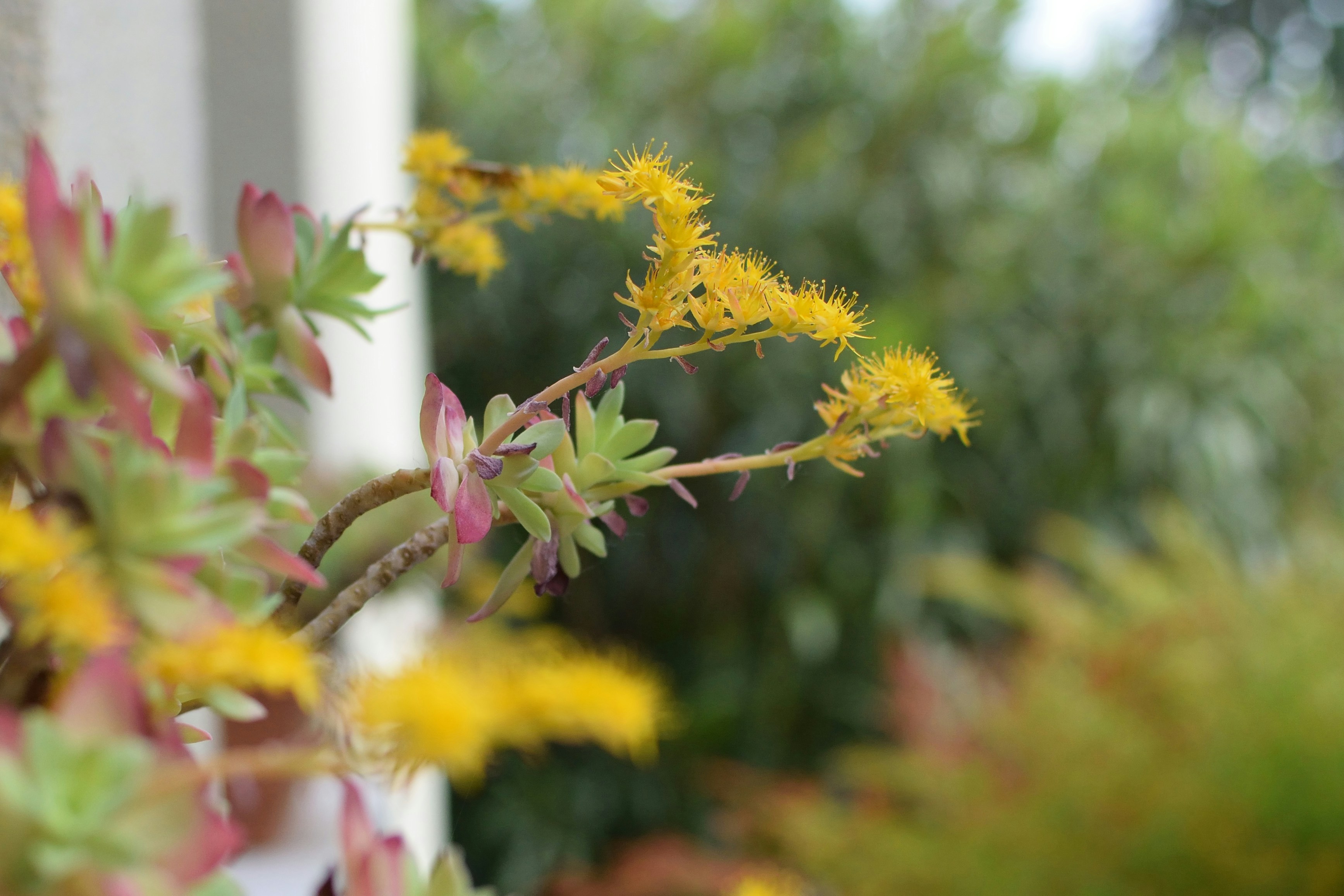 Free Unsplash photo from Alberto Casetta