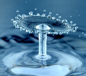 water drops macro photography