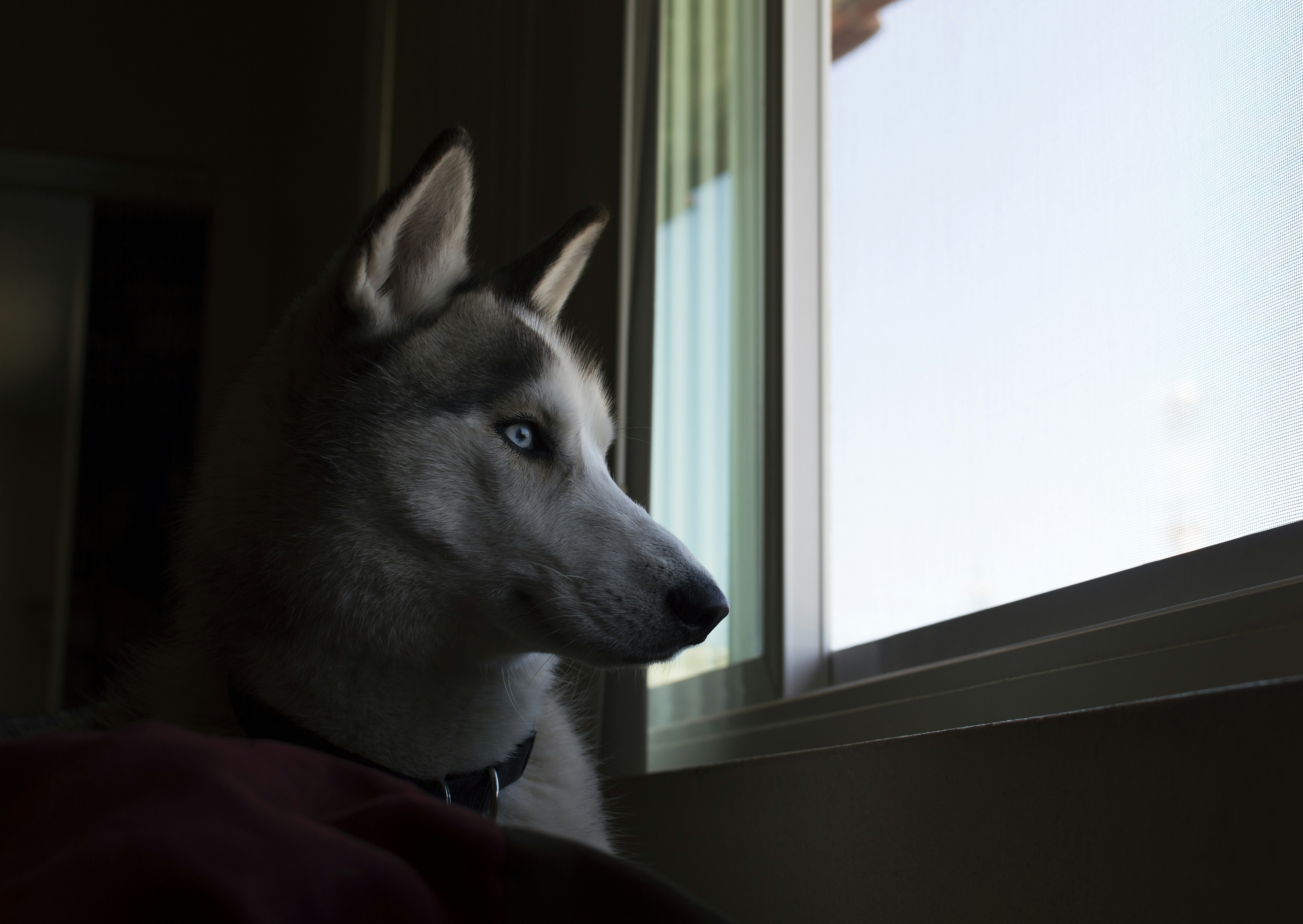 Free Unsplash photo from Rich Lessa