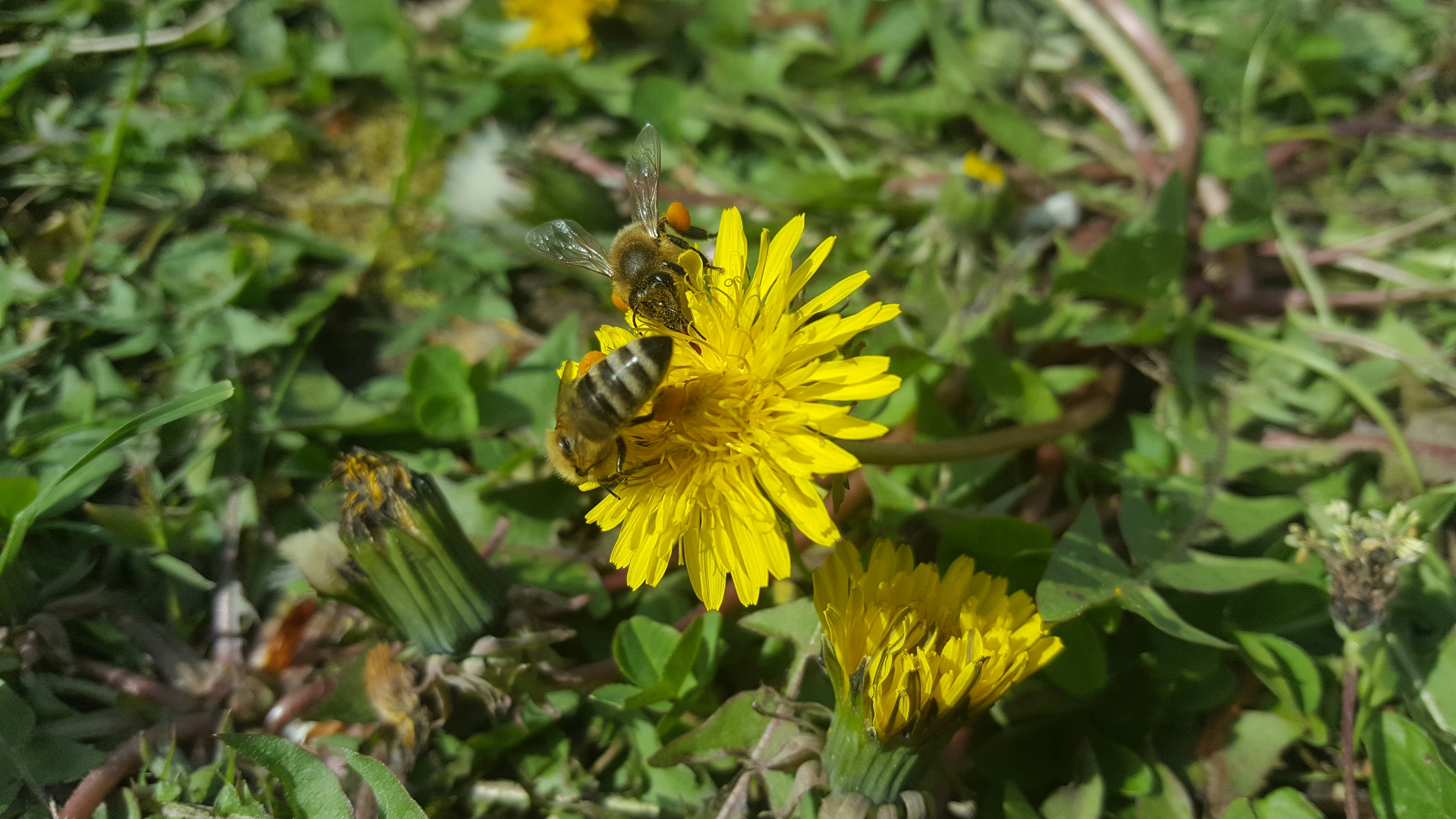 Free Unsplash photo from Martin Oslic