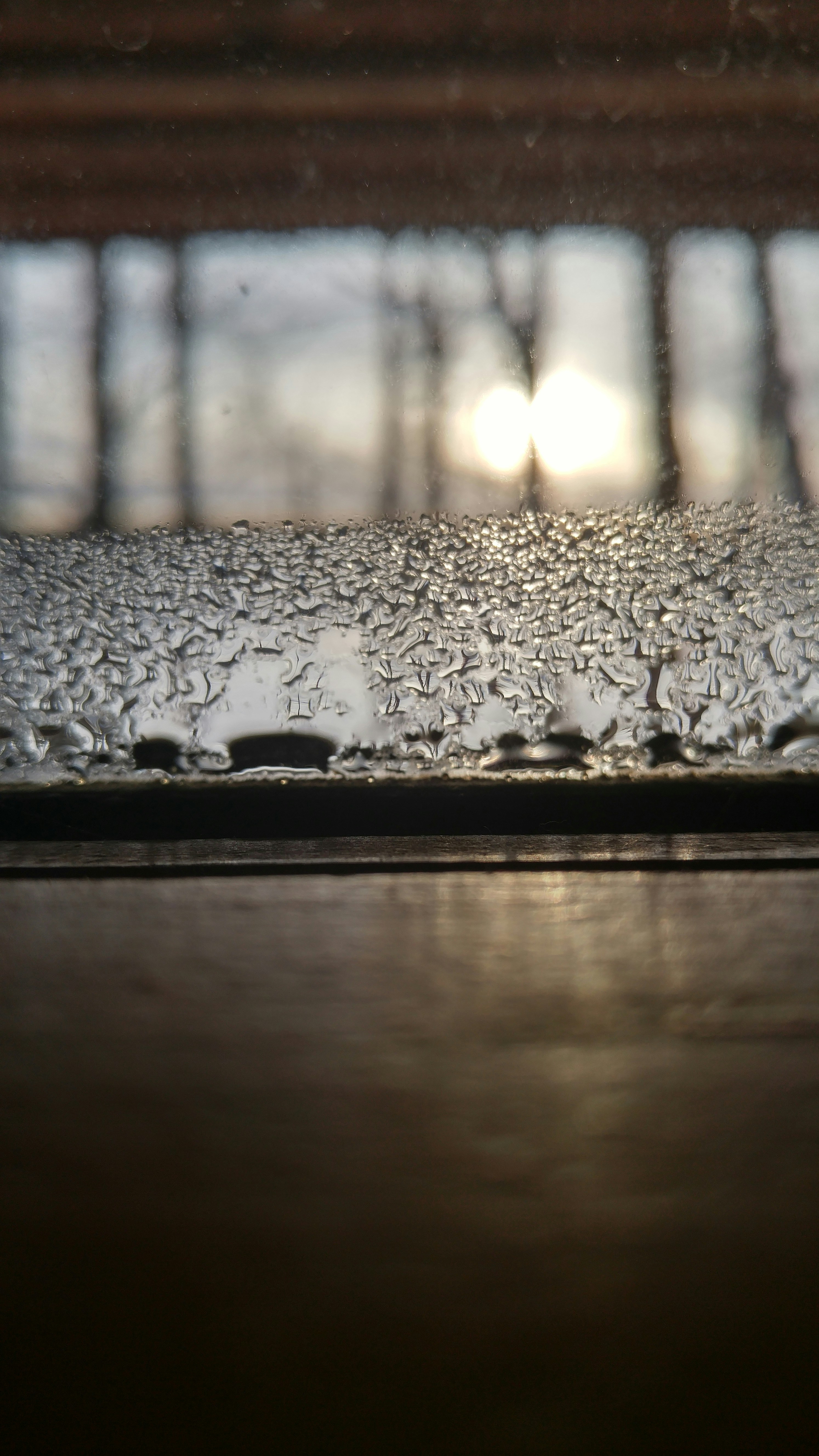 Free Unsplash photo from Kamie Branch