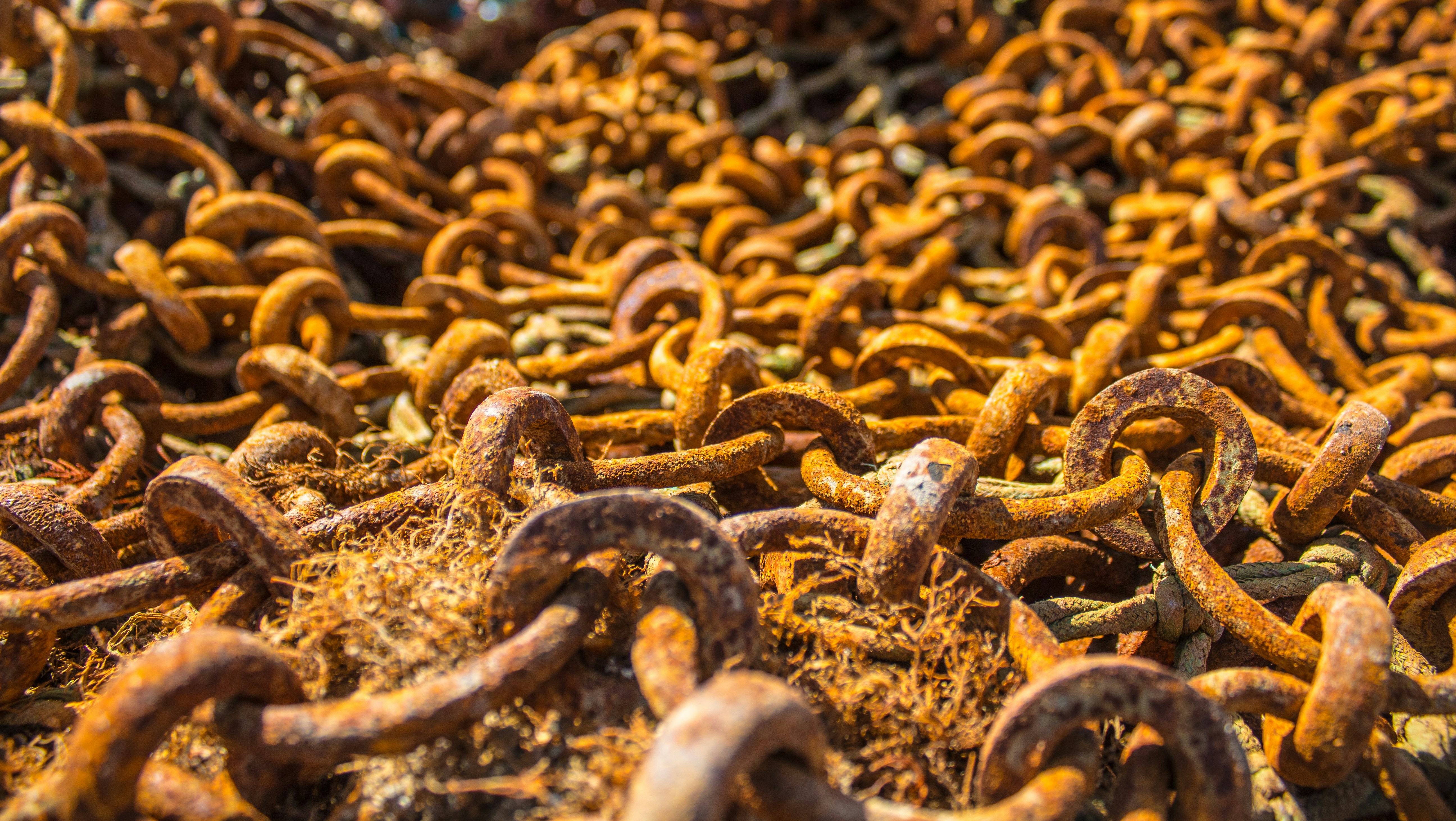 Free Unsplash photo from Dean Ward