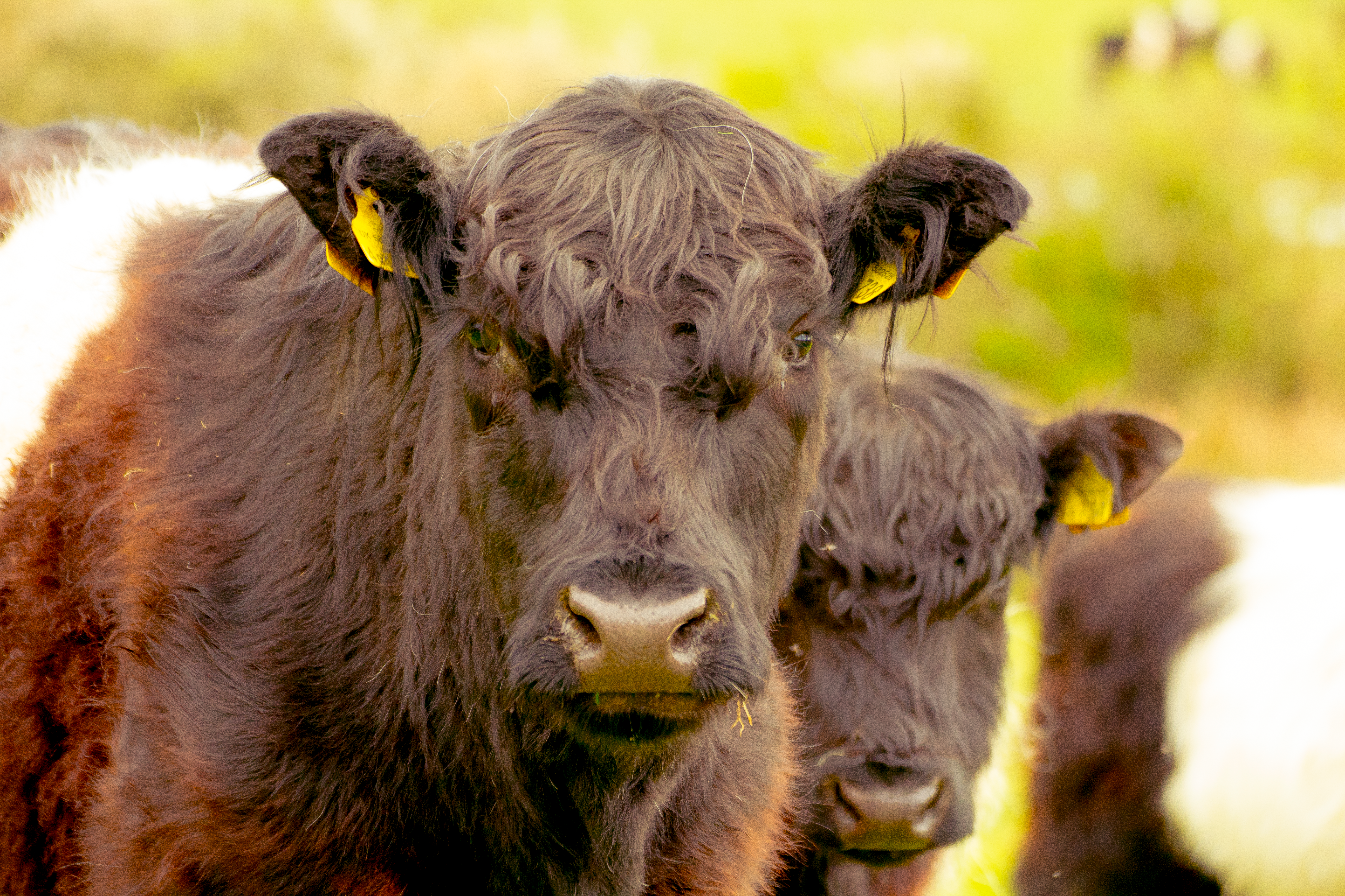 Free Unsplash photo from Dean Ward