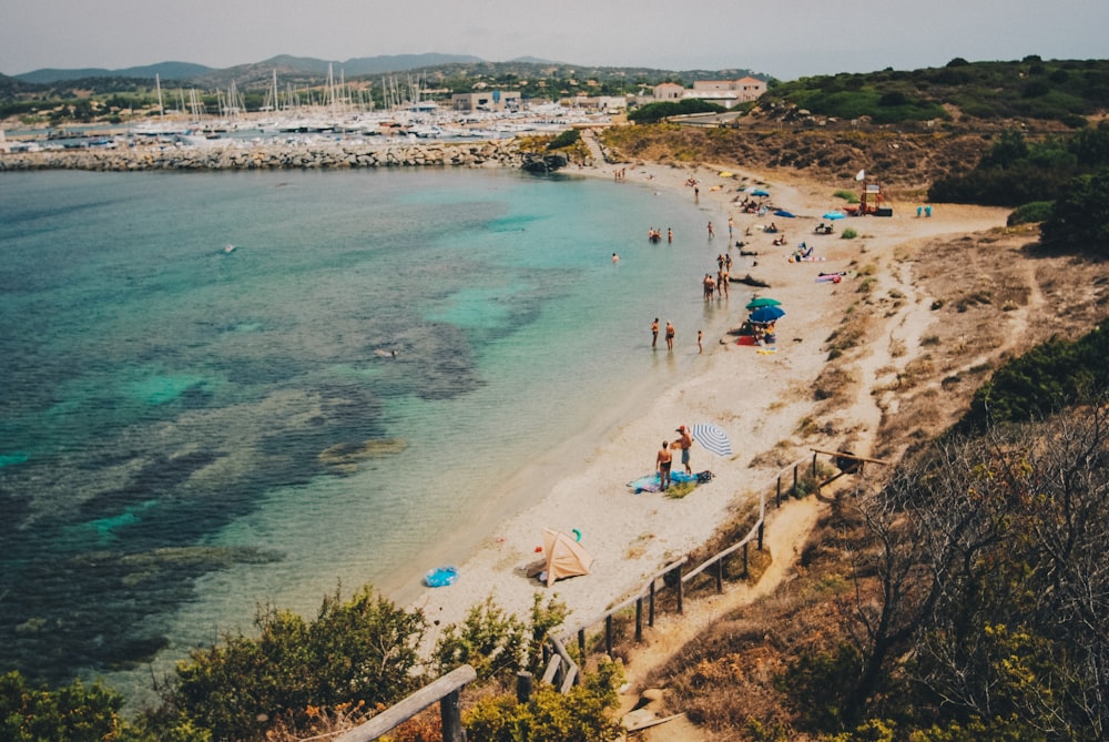 grupo de personas caminando junto a la orilla de la playa