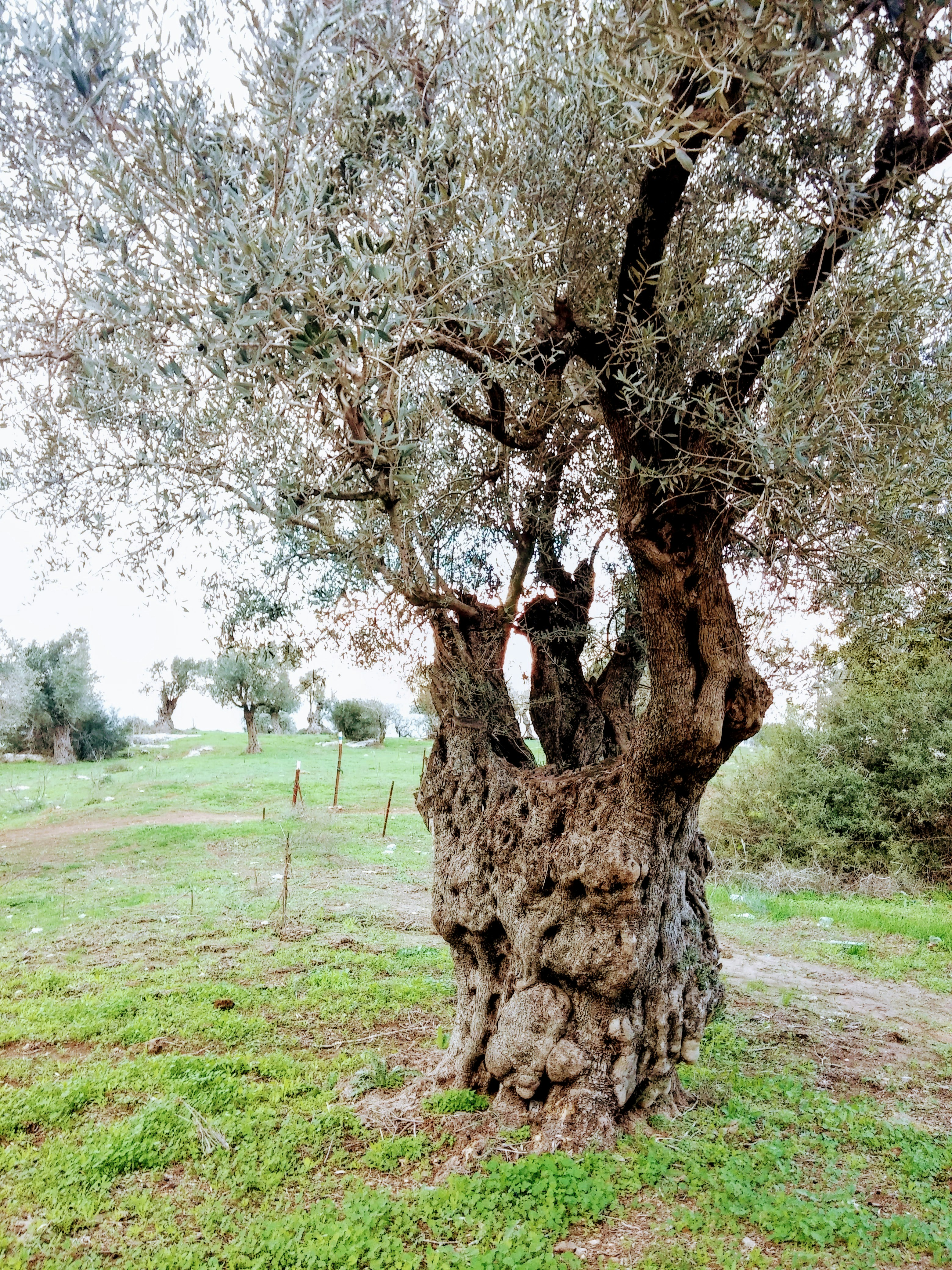 Free Unsplash photo from Rani Cohen