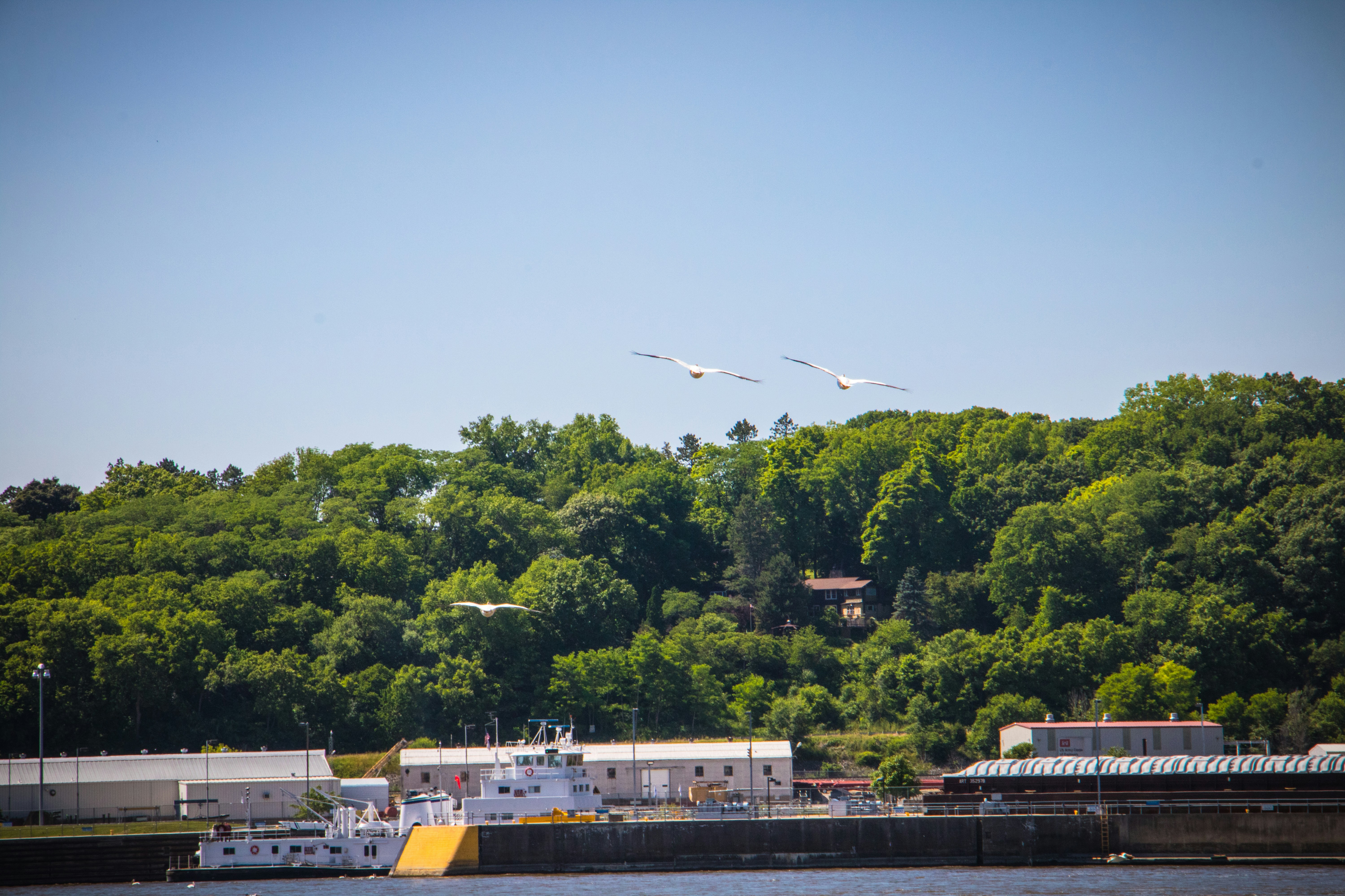 Free Unsplash photo from Brady Frieden