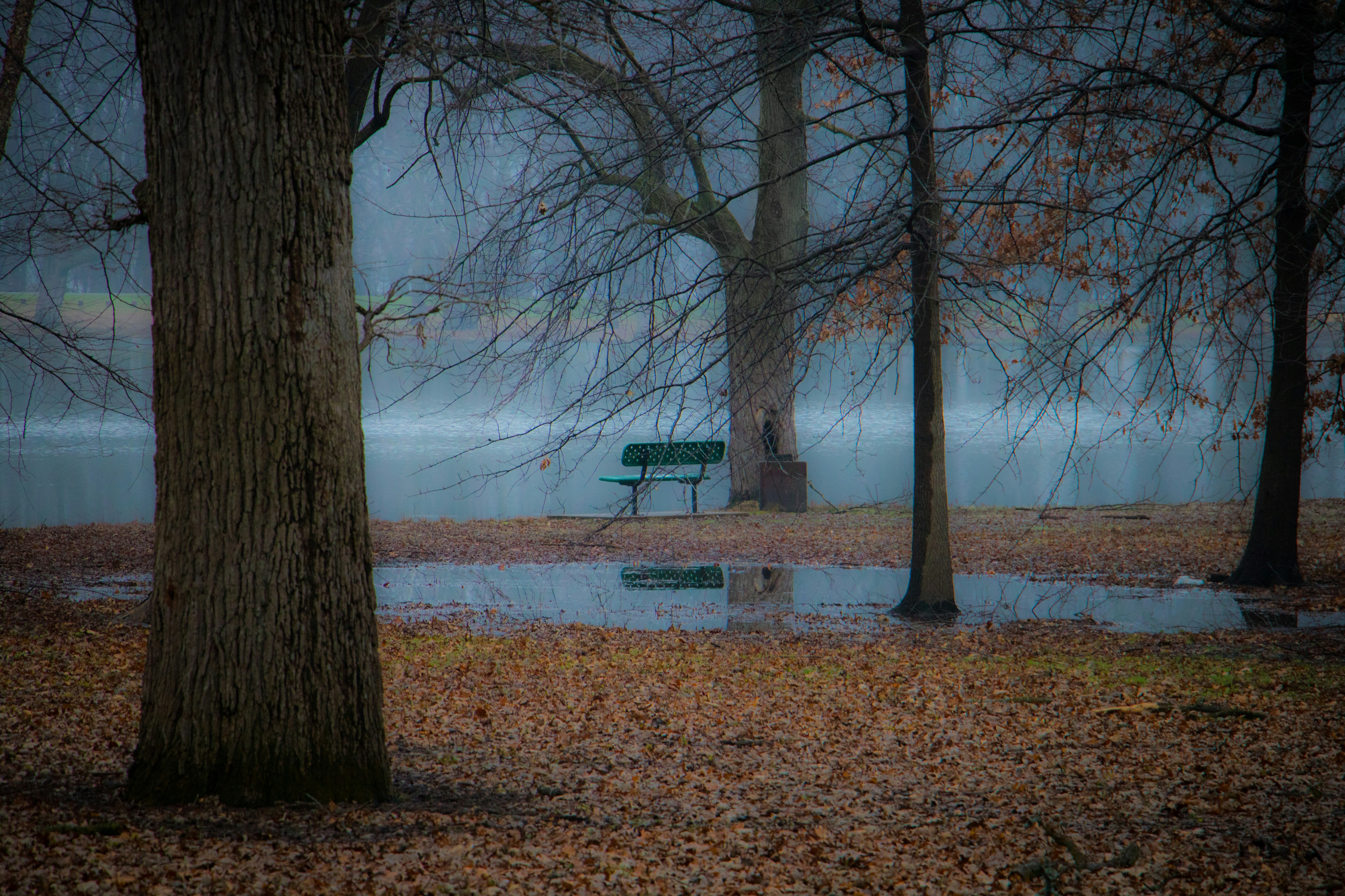 Free Unsplash photo from Brady Frieden