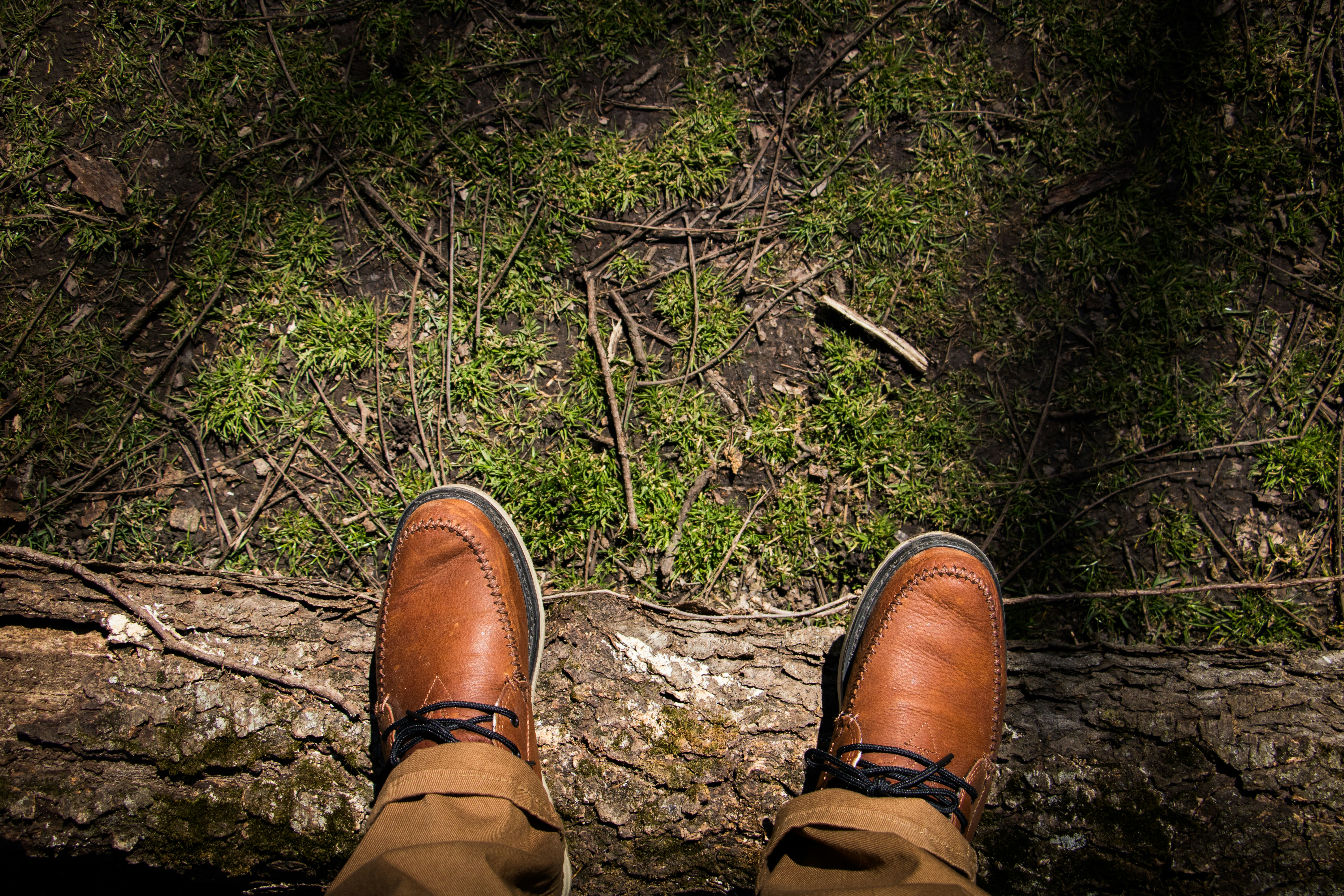 Free Unsplash photo from Brady Frieden