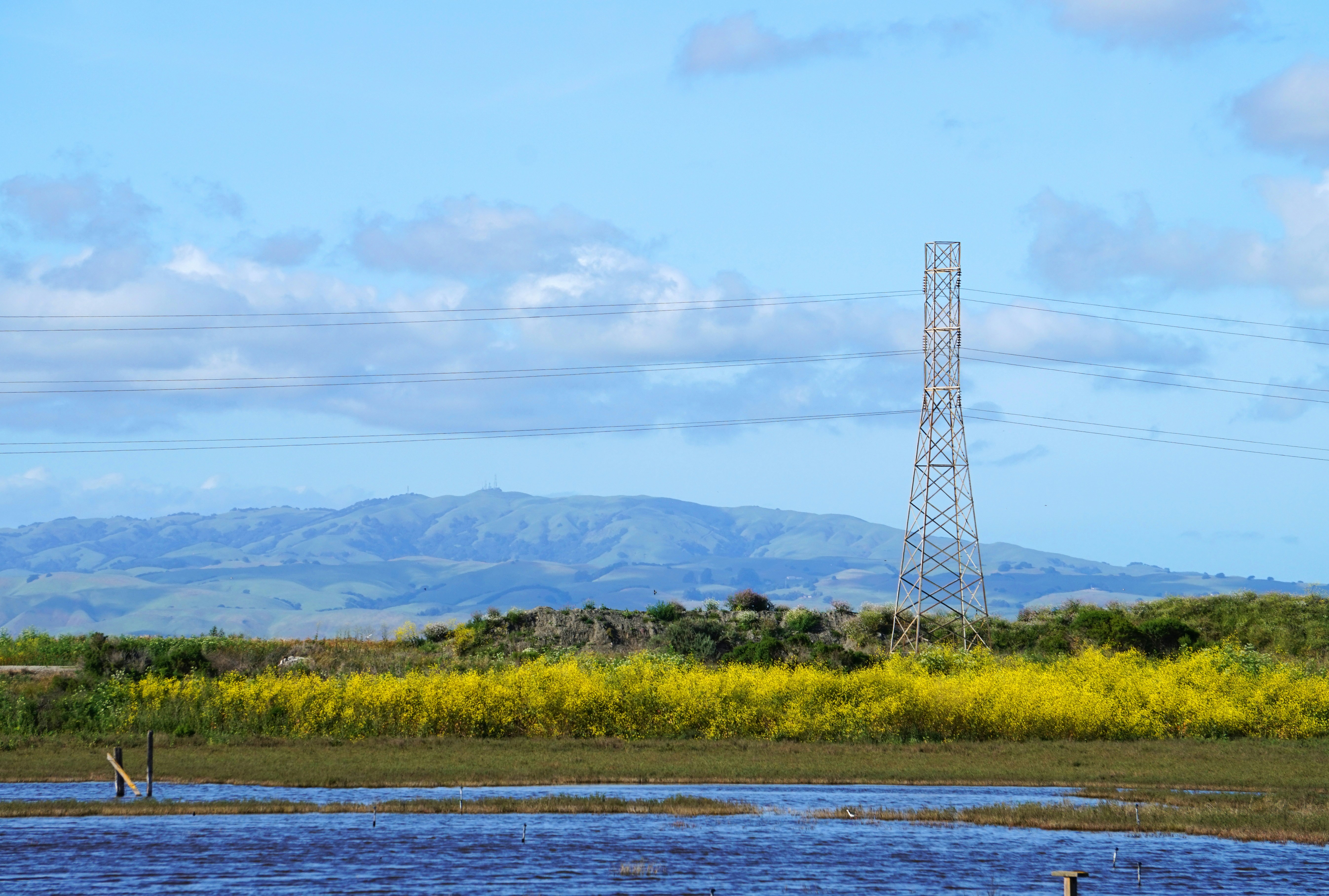 Free Unsplash photo from Olesya Grichina