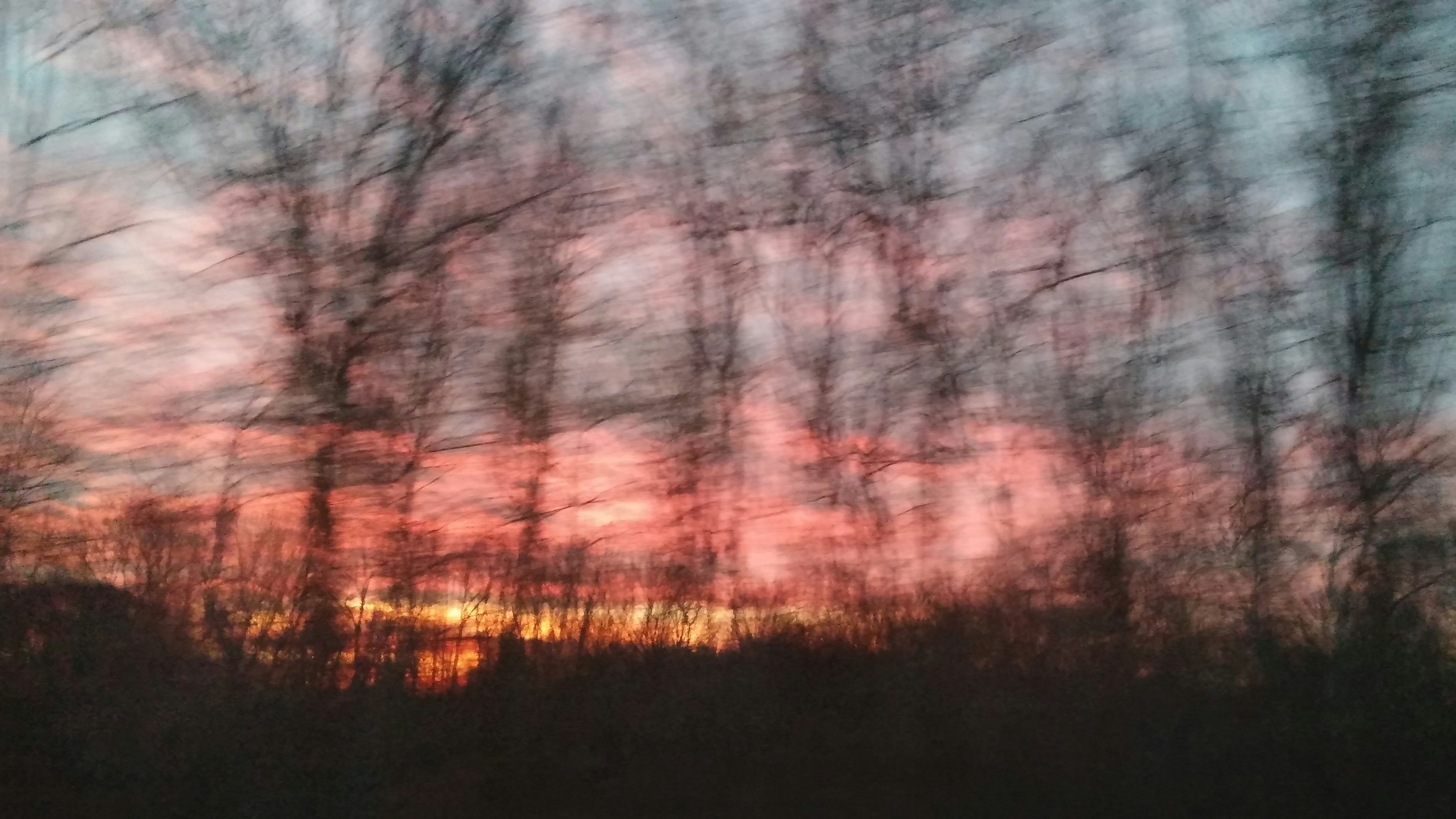 Free Unsplash photo from Rani Cohen