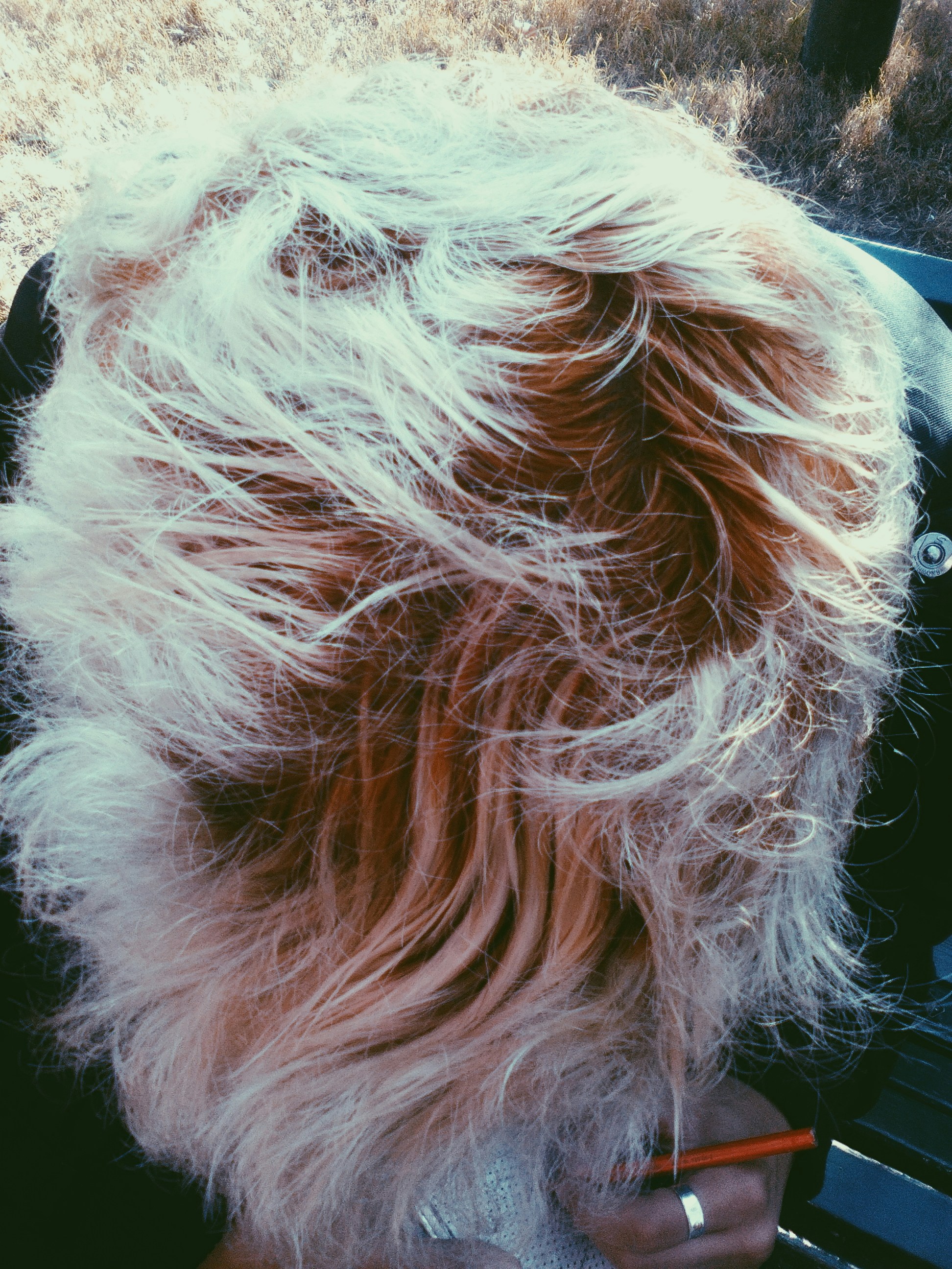 Free Unsplash photo from Cati Tucker