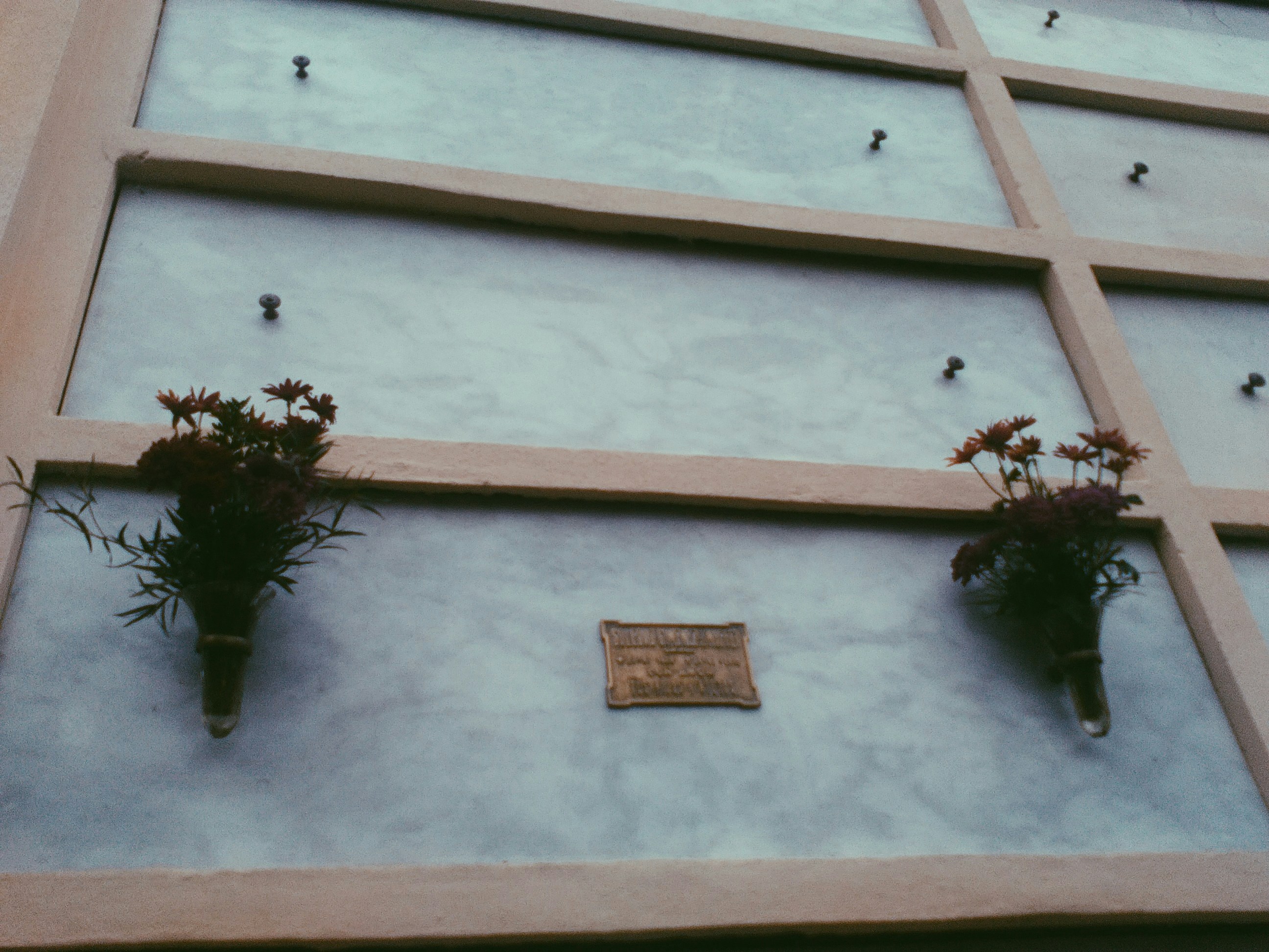 Free Unsplash photo from Cati Tucker