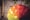 Unsplash - Anonymous
