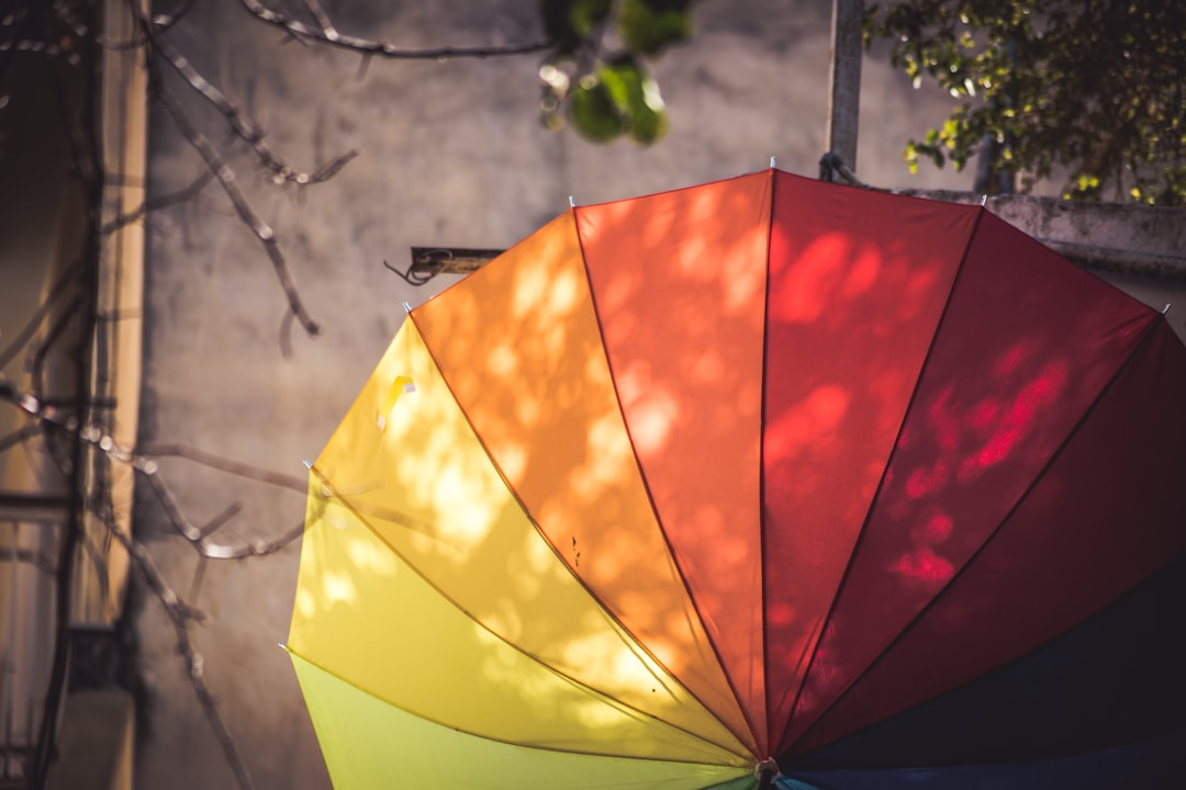 multi-colored umbrella hanged on pole