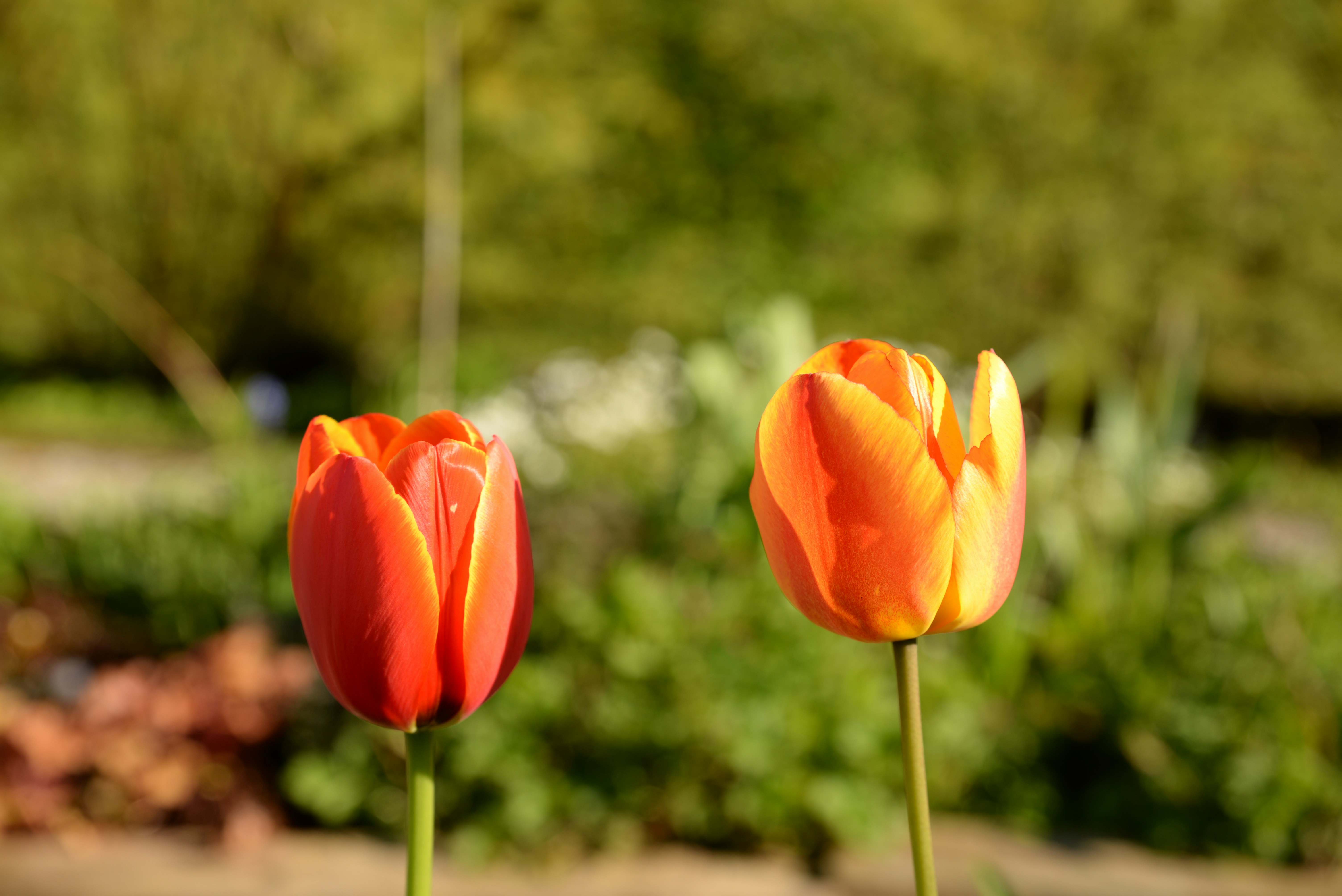 Free Unsplash photo from HyunKuk Kim