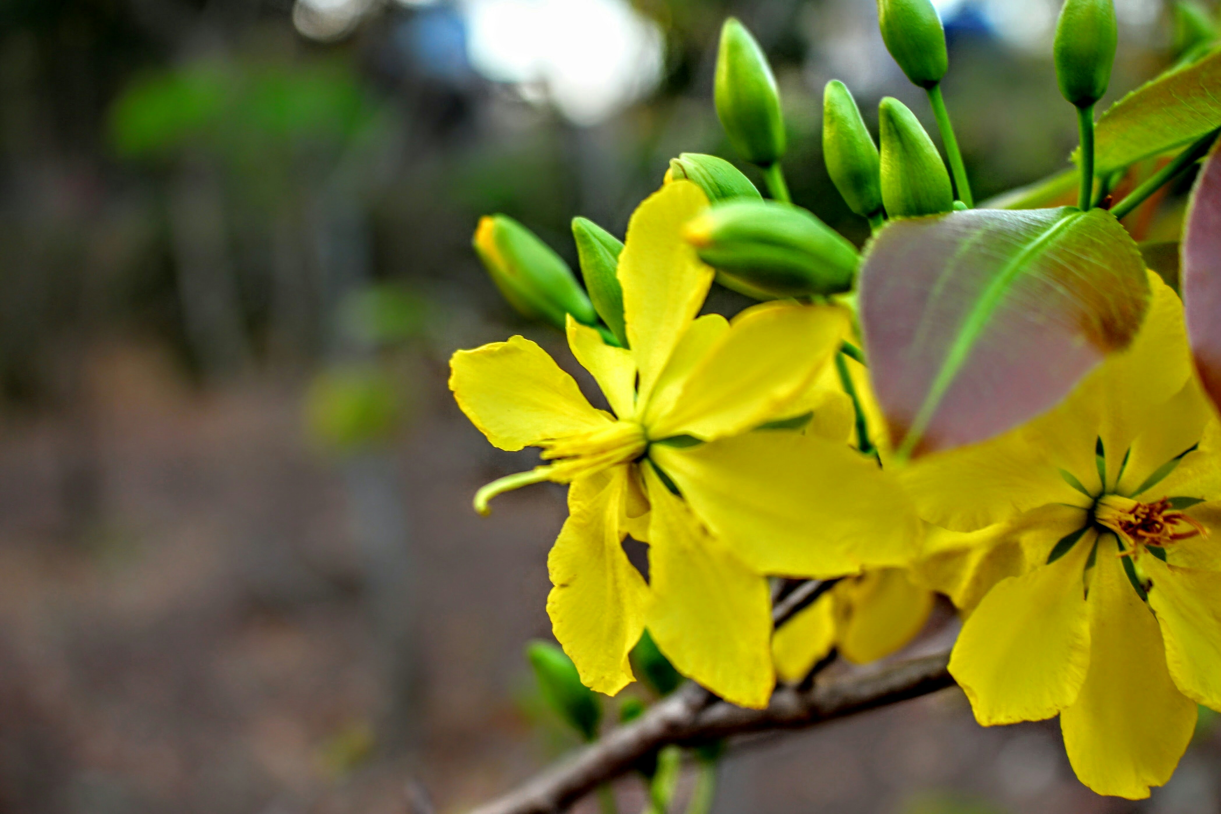 Free Unsplash photo from Huy Vo