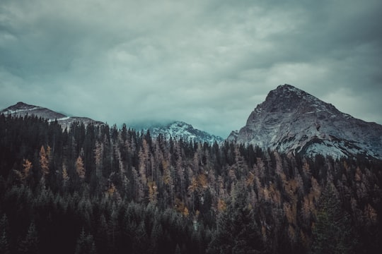 trees on mountain under cloudy sky in Seebensee Austria