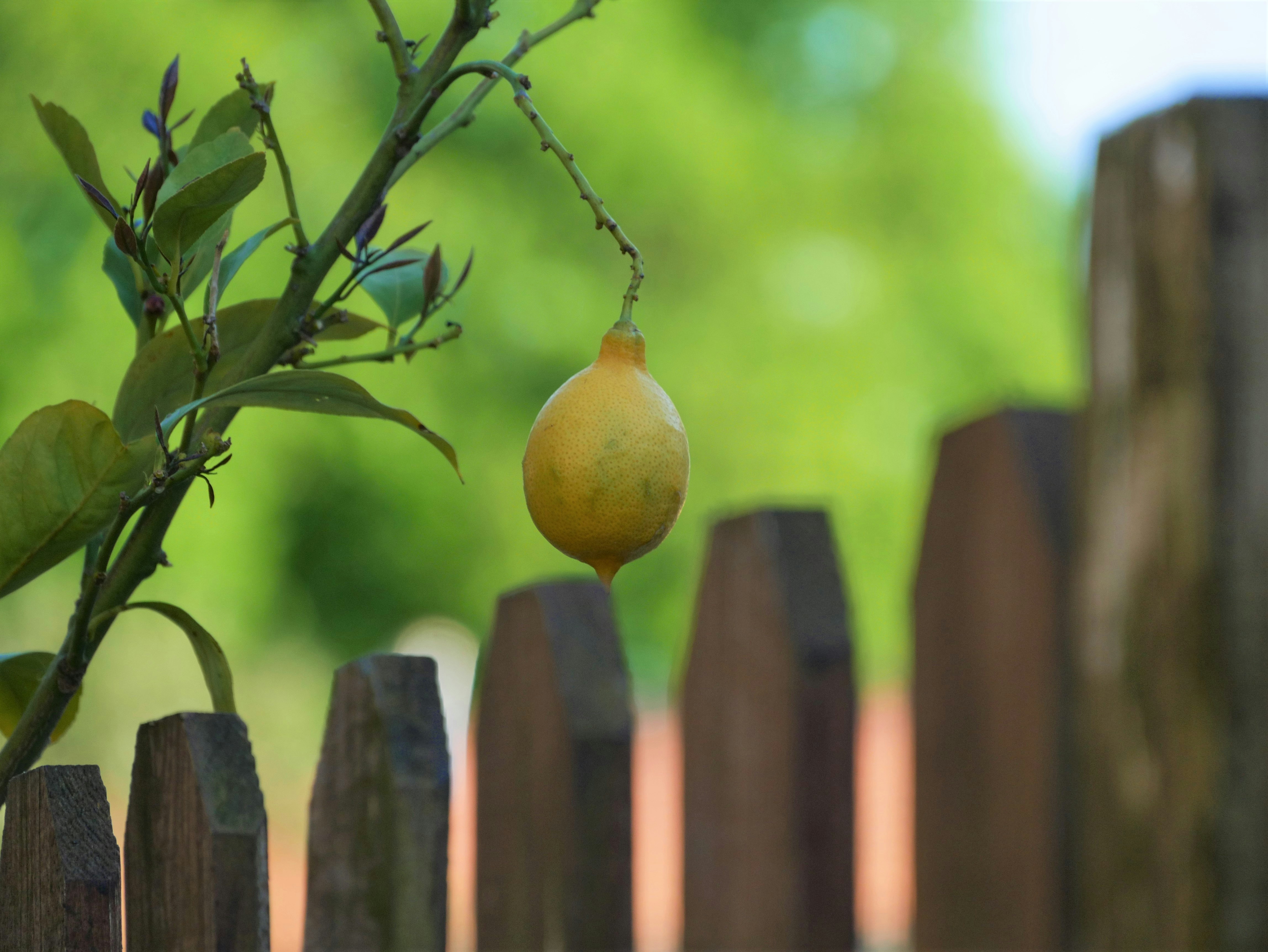 Free Unsplash photo from Wenceslas Lejeune