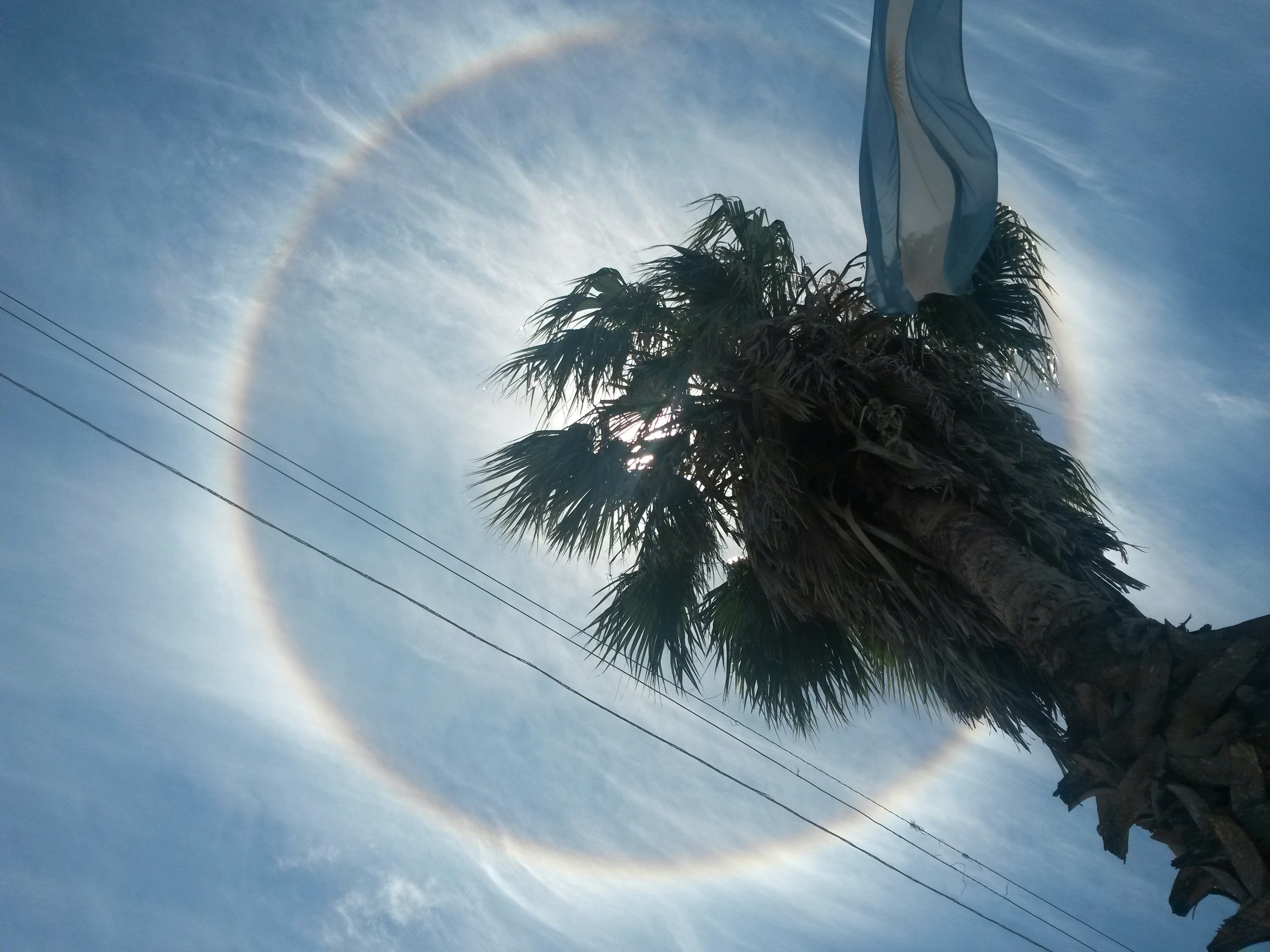 Free Unsplash photo from Ramiro Martinez