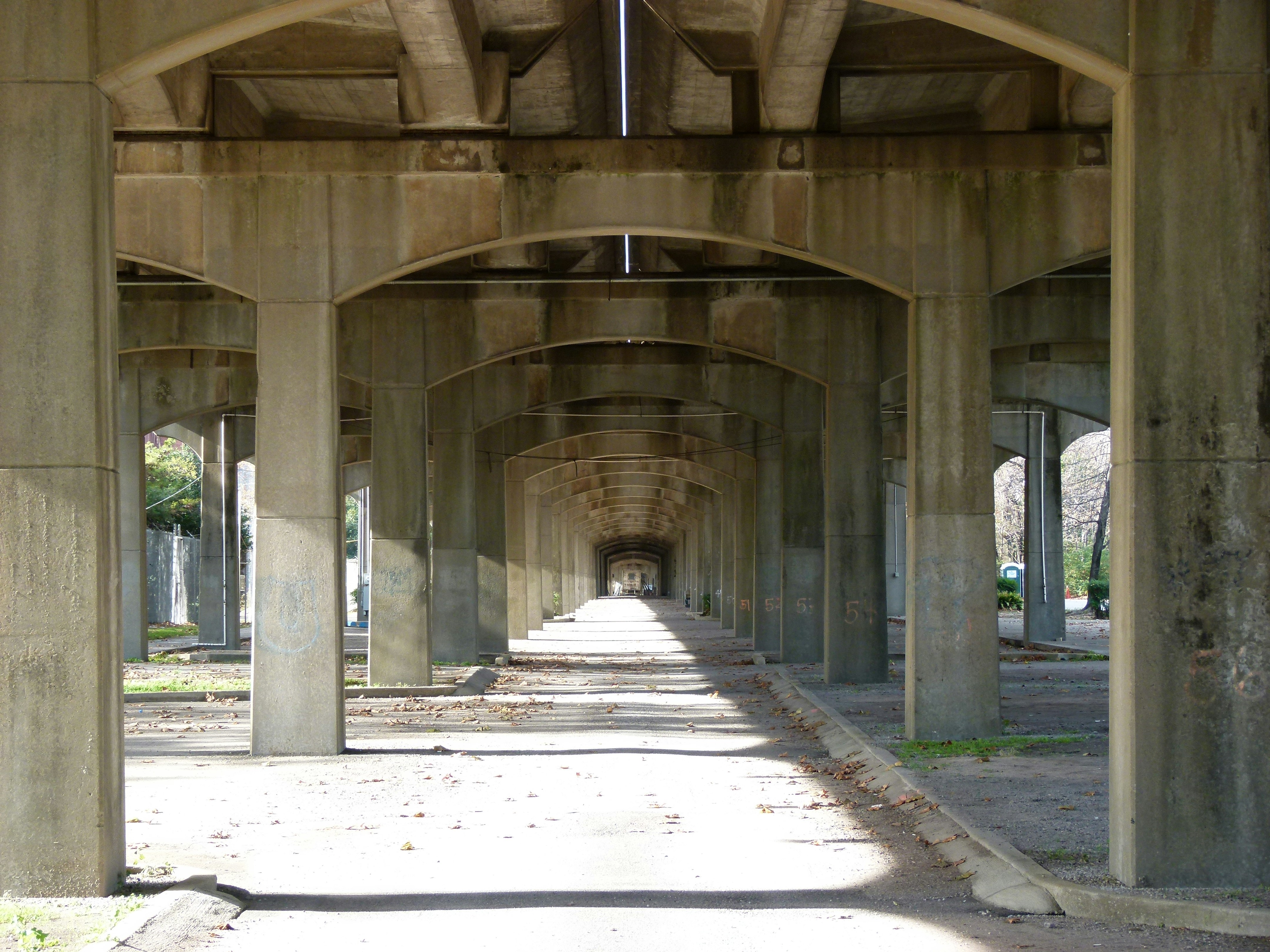 Free Unsplash photo from Anthony Stevens