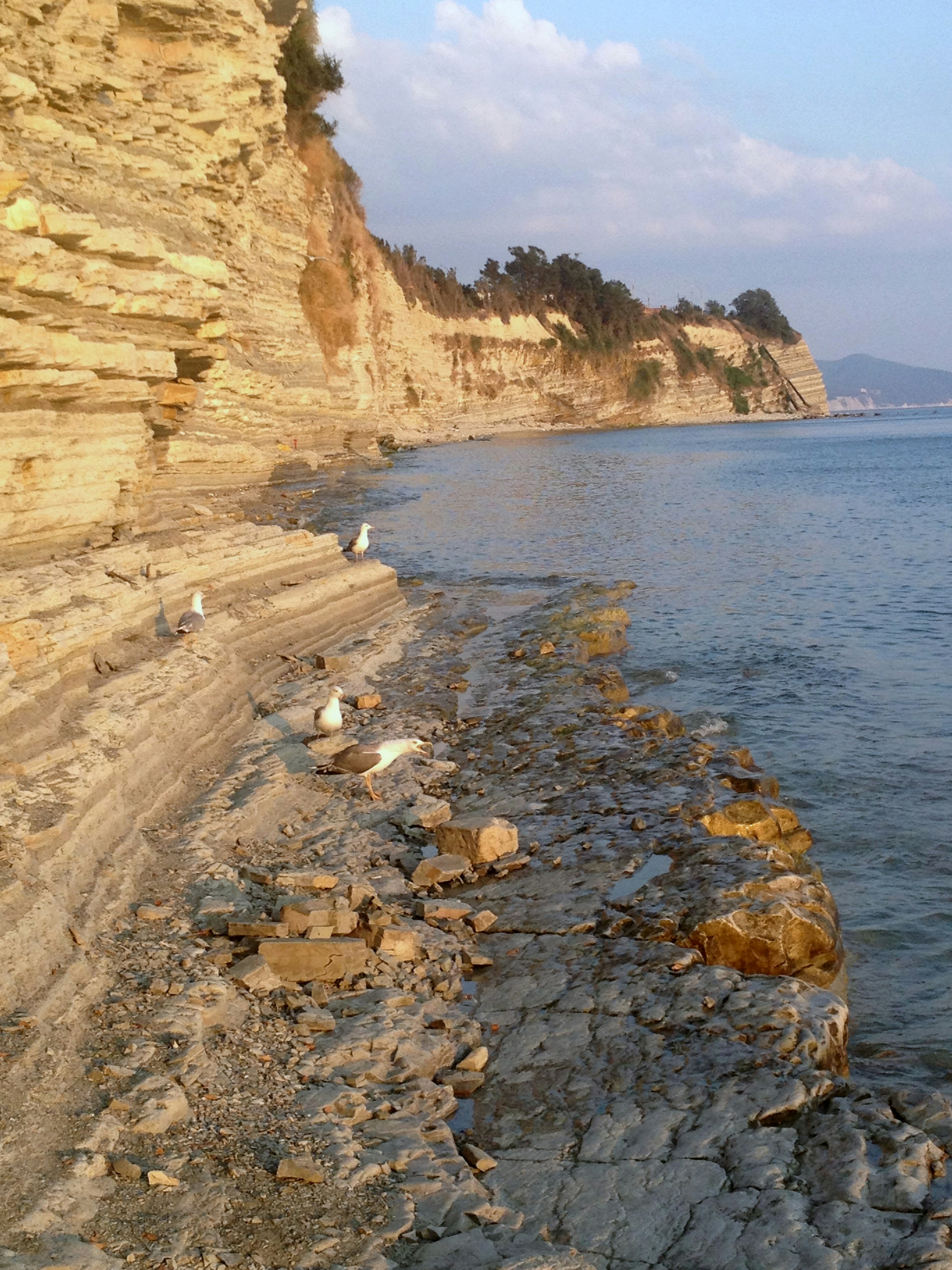 Free Unsplash photo from Станислав Виговский