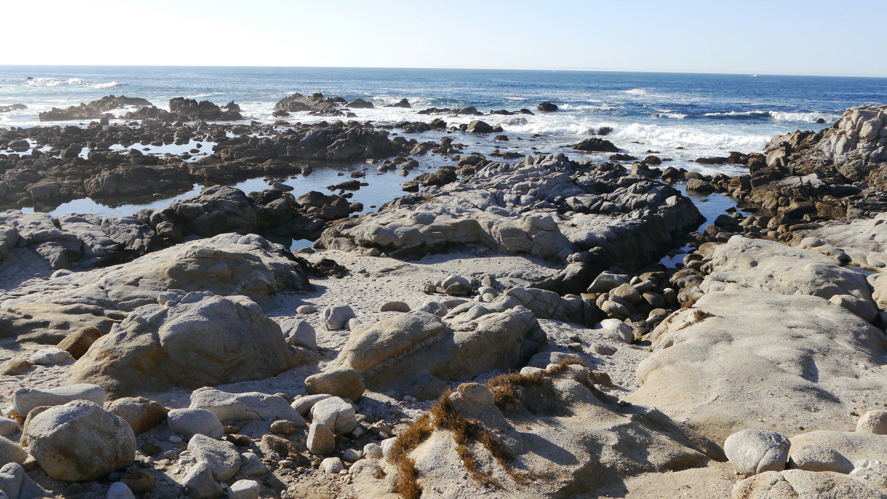 Free Unsplash photo from Michael Kessel