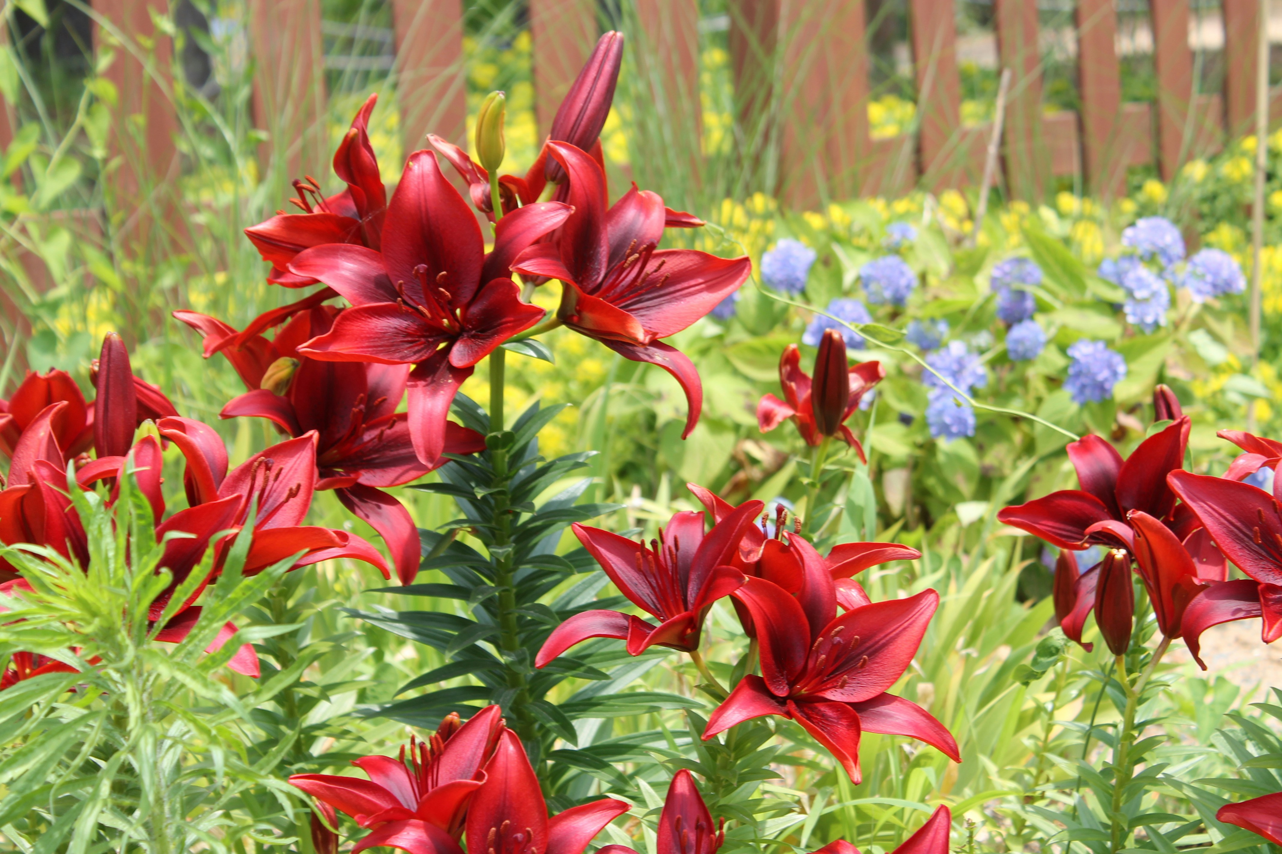 Free Unsplash photo from Michael Kessel