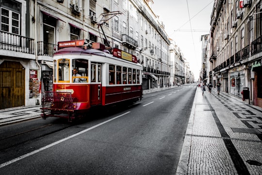 white and red vehicle on road in Lisbon Cathedral Portugal